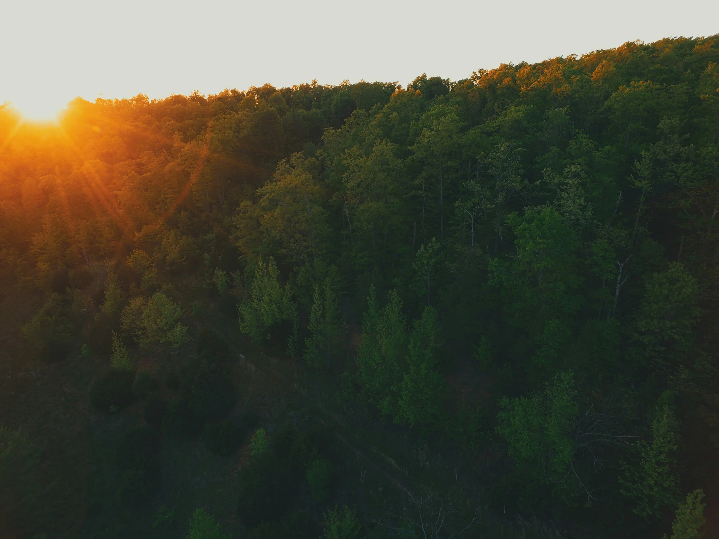 Sunset over a dense forest with sunlight peeking through the trees.