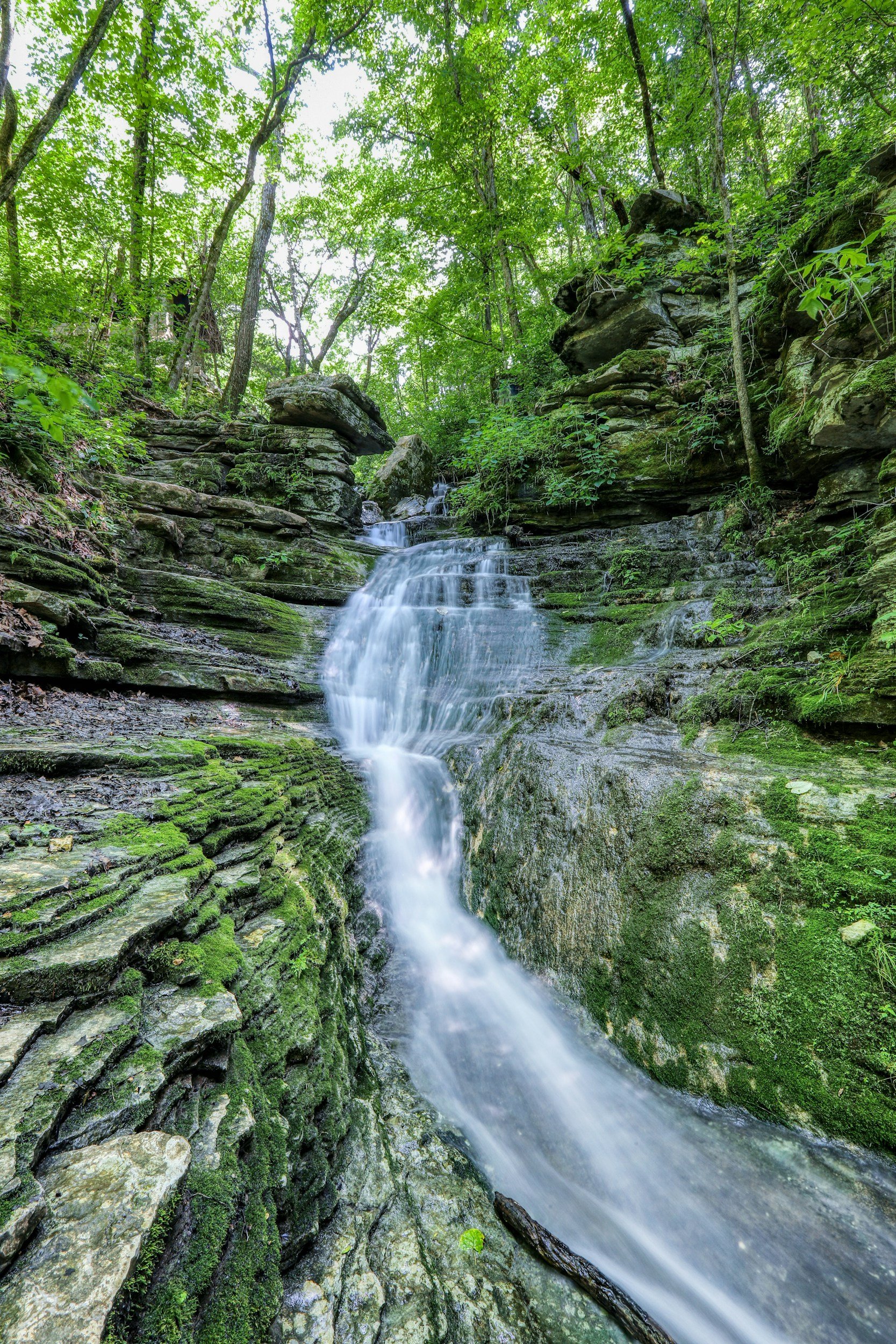 A small waterfall flowing through moss-covered rocks in a lush green forest, surrounded by tall trees and dense foliage.
