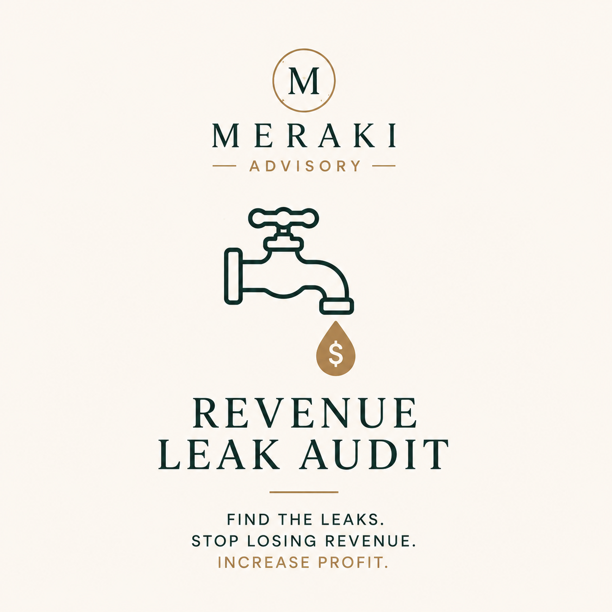 Revenue Leak Audit