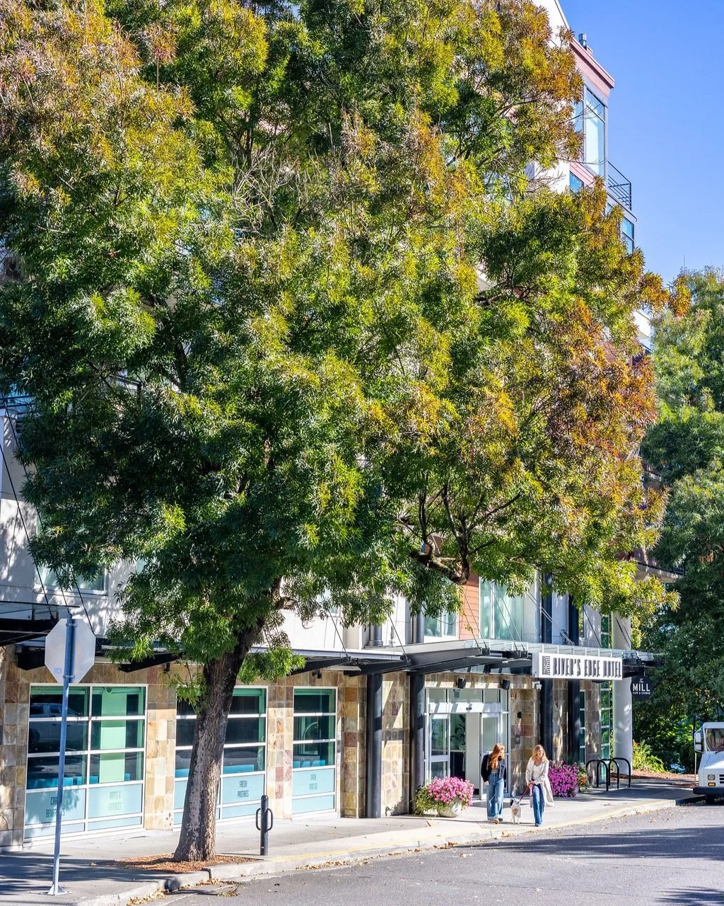 City days. Nature escapes. The best of both.
ㅤ
Stay along Portland's South Waterfront with easy access to vibrant neighborhoods, renowned museums, beautiful parks, and some of the Pacific Northwest's most breathtaking scenery.
ㅤ
Explore our Portland 