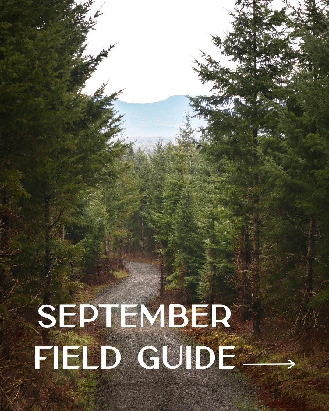 Your September Field Guide to Bend has arrived.
ㅤ
Start the month wandering through the First Friday Art Walk, hit the trails for the River Falls 5K &amp; 10K, catch a few laughs at the Bend Comedy Festival, and spend a morning browsing the Bend Farm