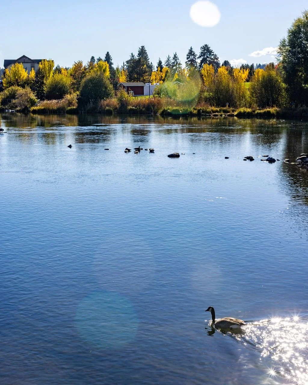 One of our favorite ways to start the day.
ㅤ
A quiet walk along the Deschutes River, just moments from The Newberry.