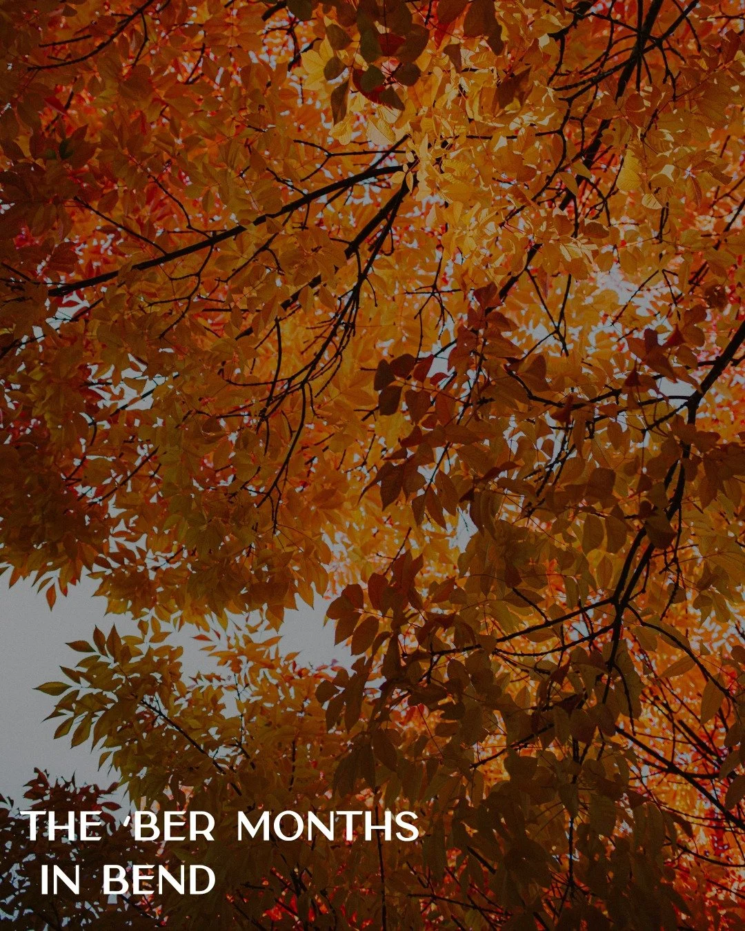 The &rsquo;ber months have arrived in Bend, and October might just be our favorite. 🍂
Follow the changing colors along the Deschutes, spend an afternoon leaf peeping on the trails, make a stop at a local farm for pumpkins and fall finds, then lean i