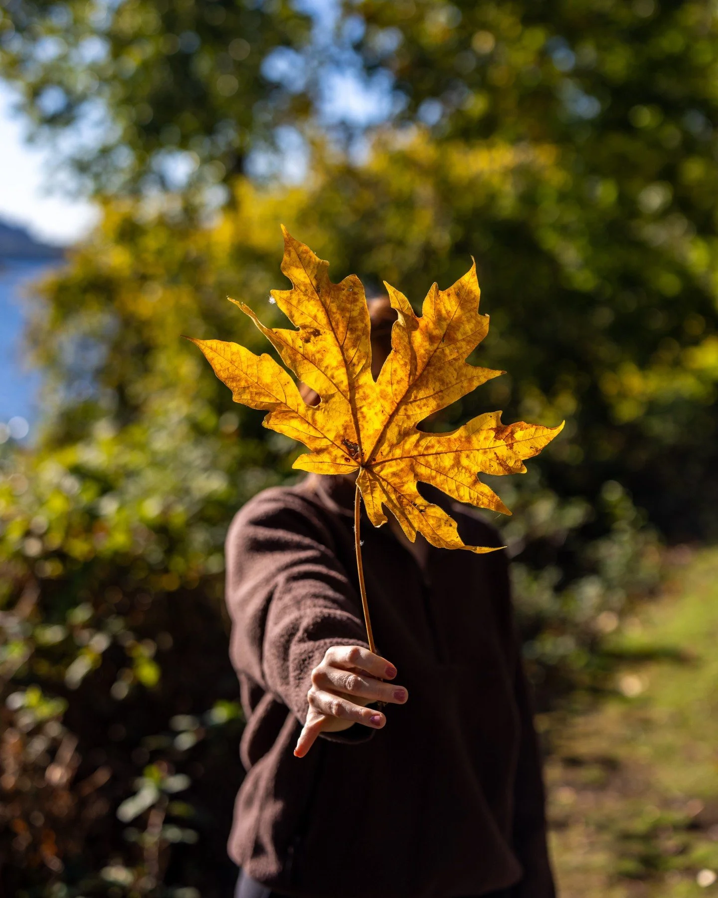 Portland is putting on its fall colors. 🍂
Wander beneath changing leaves at Washington Park, take the scenic route through Forest Park, explore the trails at Hoyt Arboretum, or head to Laurelhurst Park for a slower afternoon surrounded by autumn.
Th