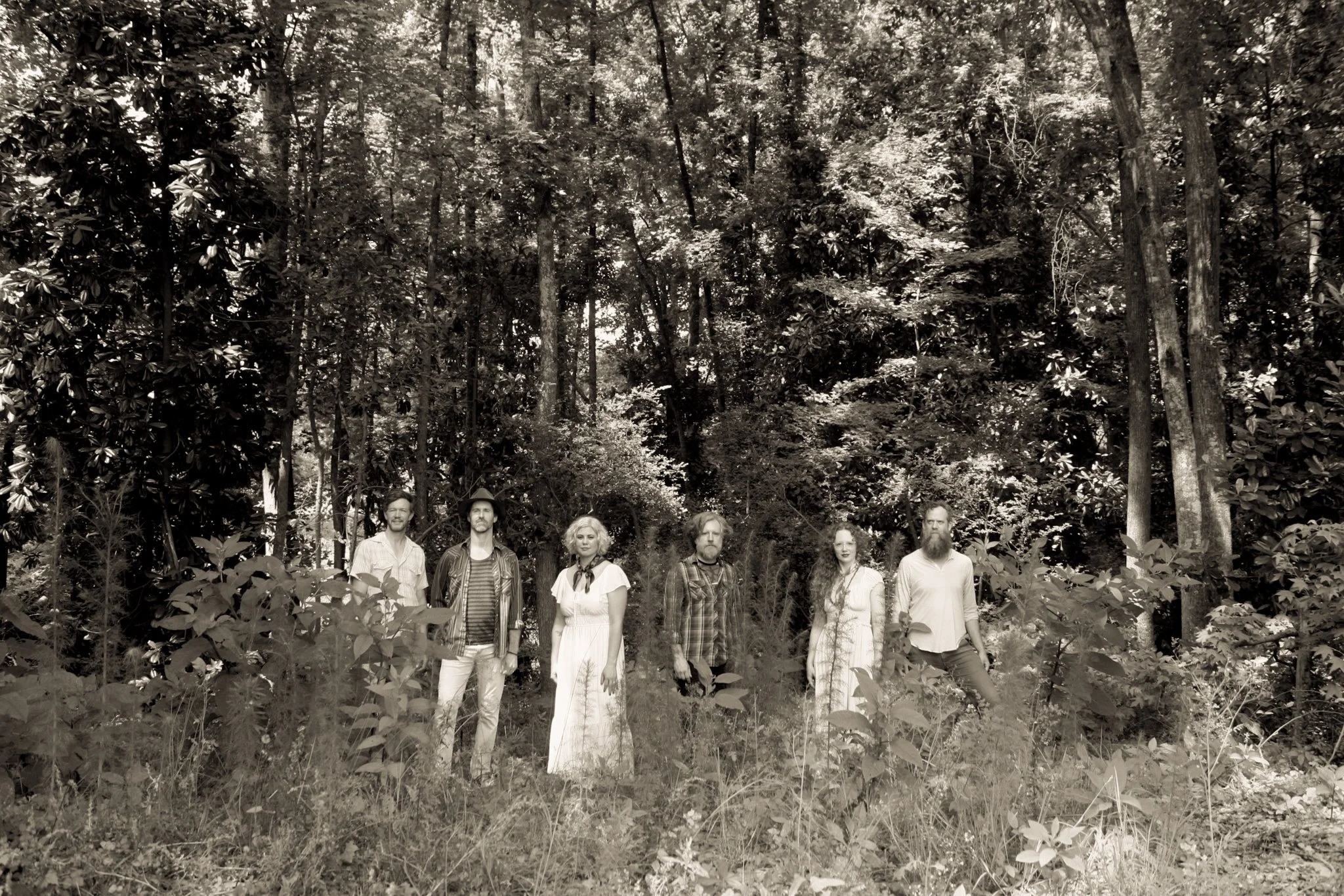 A black and white photo the six band members of Shansylvania standing in a line in a dense forest, with tall trees and thick foliage surrounding them.