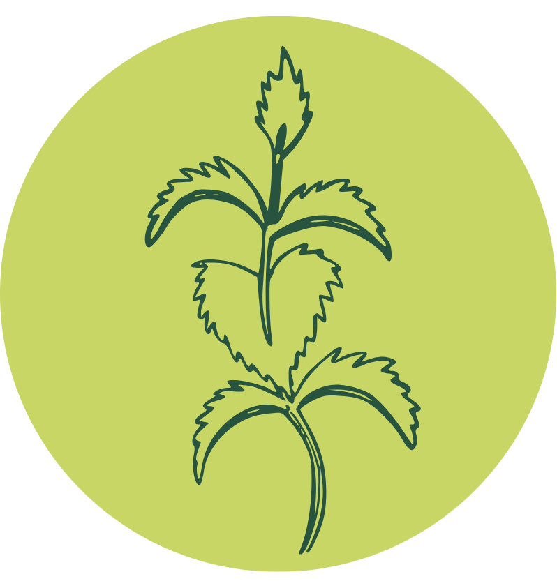 Intermediate Membership