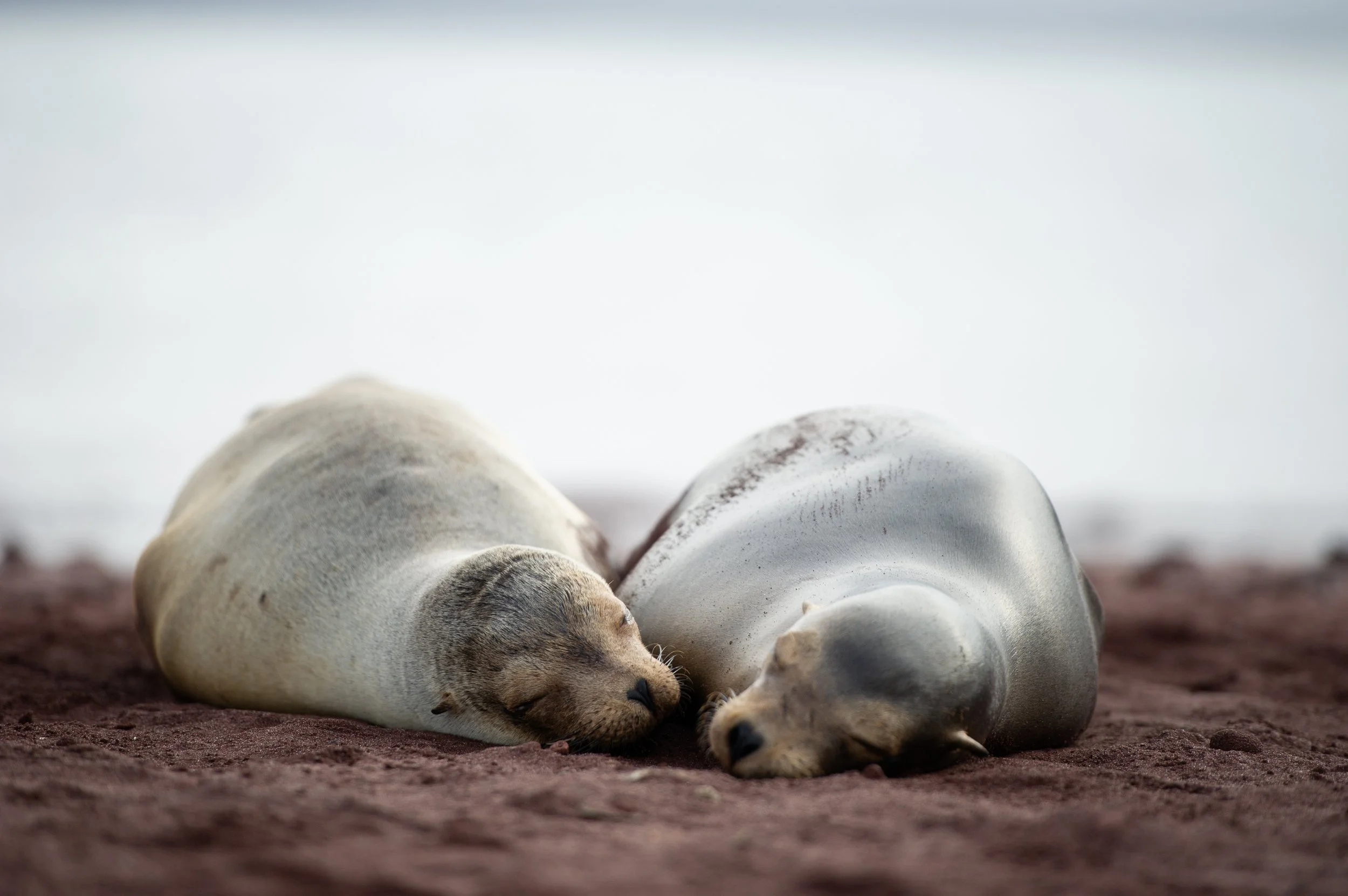 Together