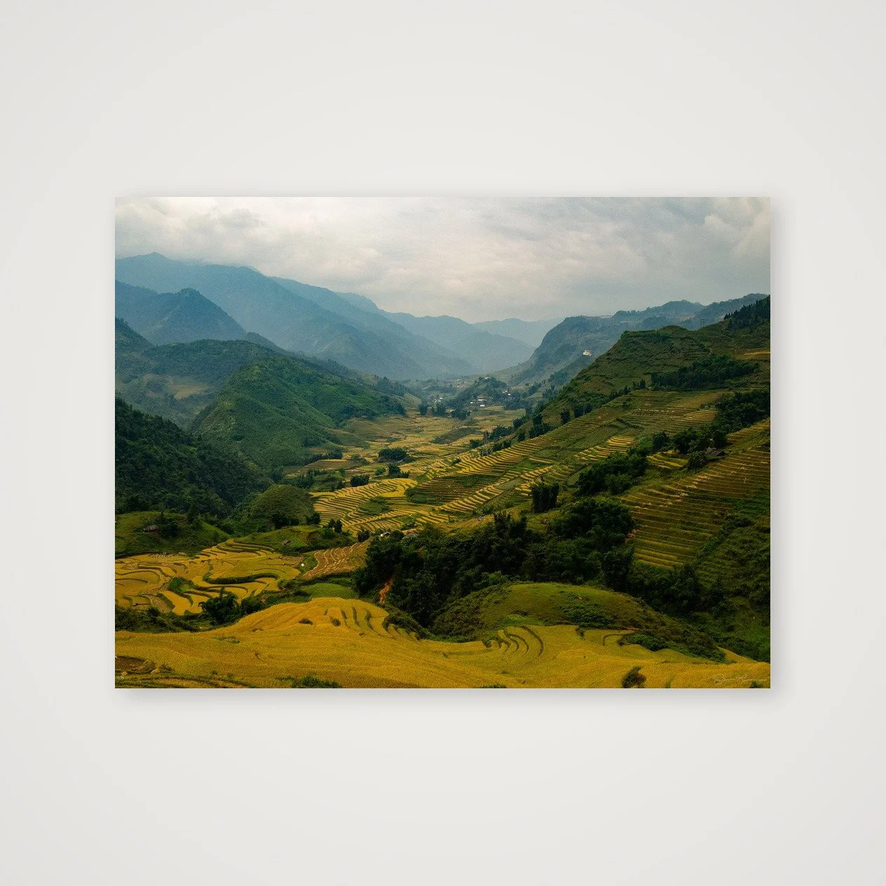 shot_table_cd194c40_887758ab.jpg