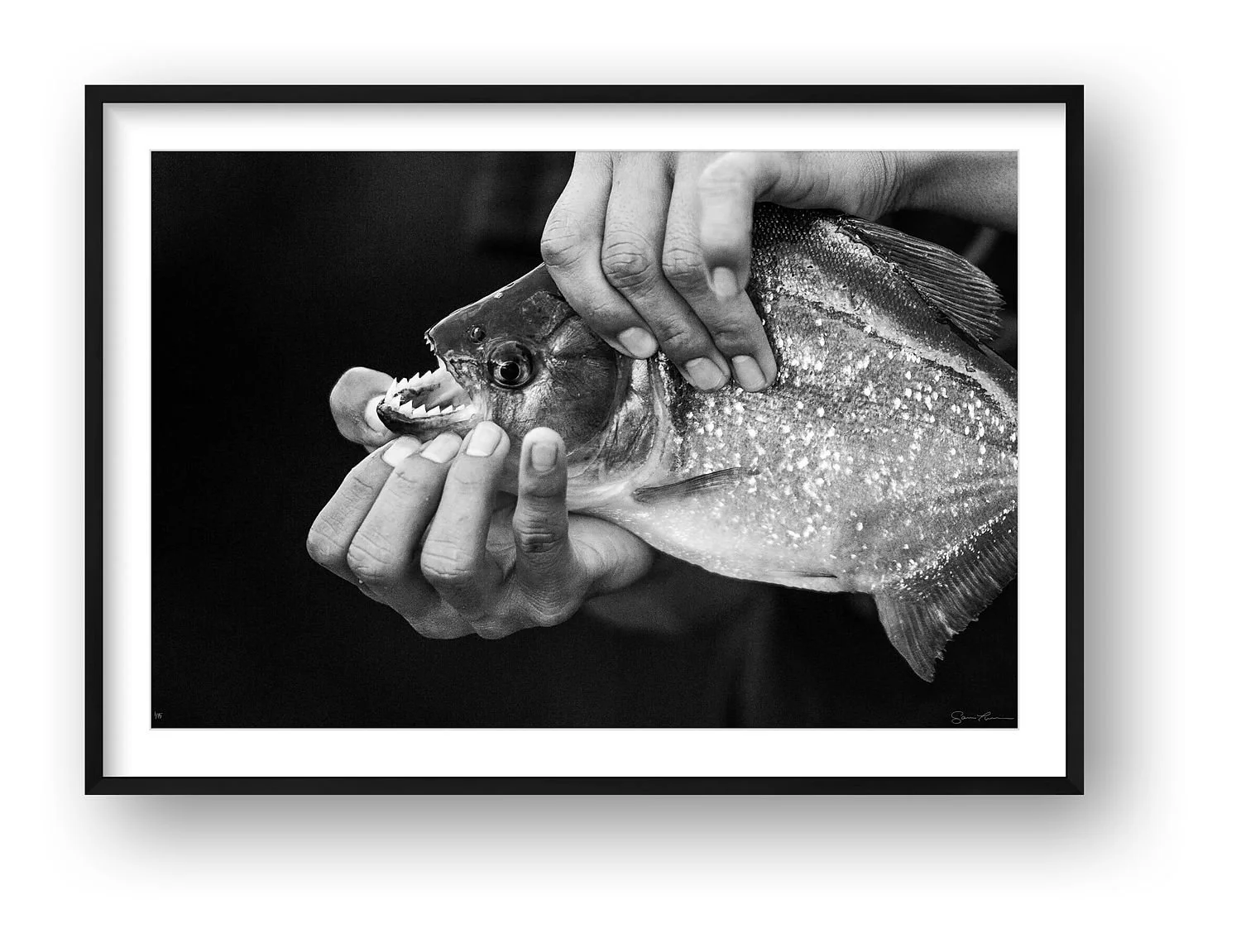 preview_c2ad5cb4_25f869a2.jpg