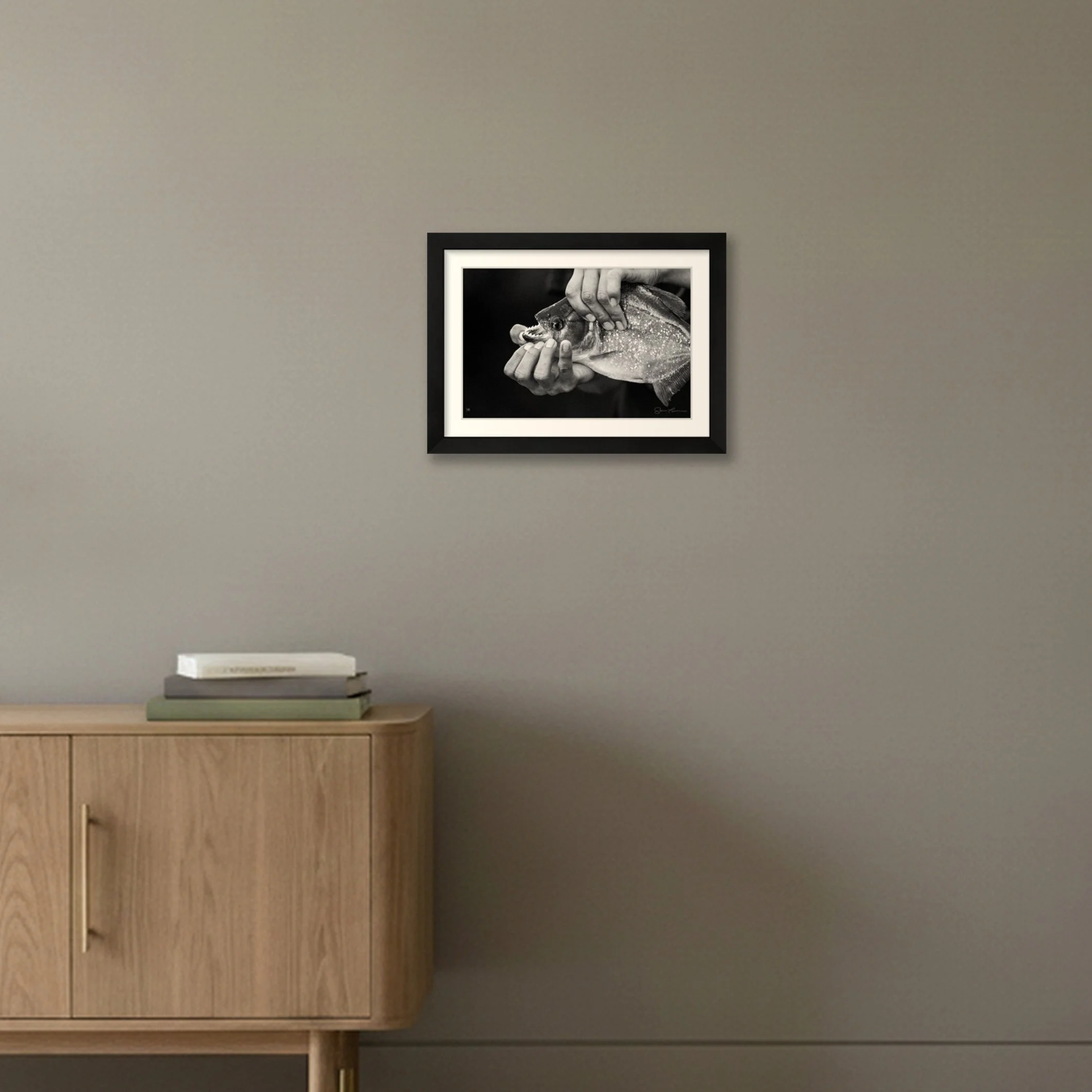 shot_wall_425445cb_5fa6c2eb.jpg
