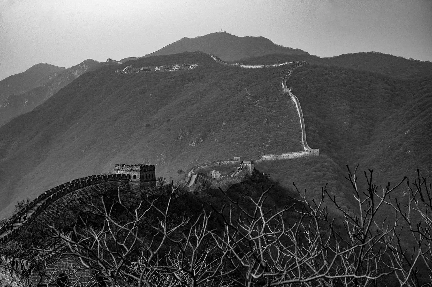 Along the Watchtower