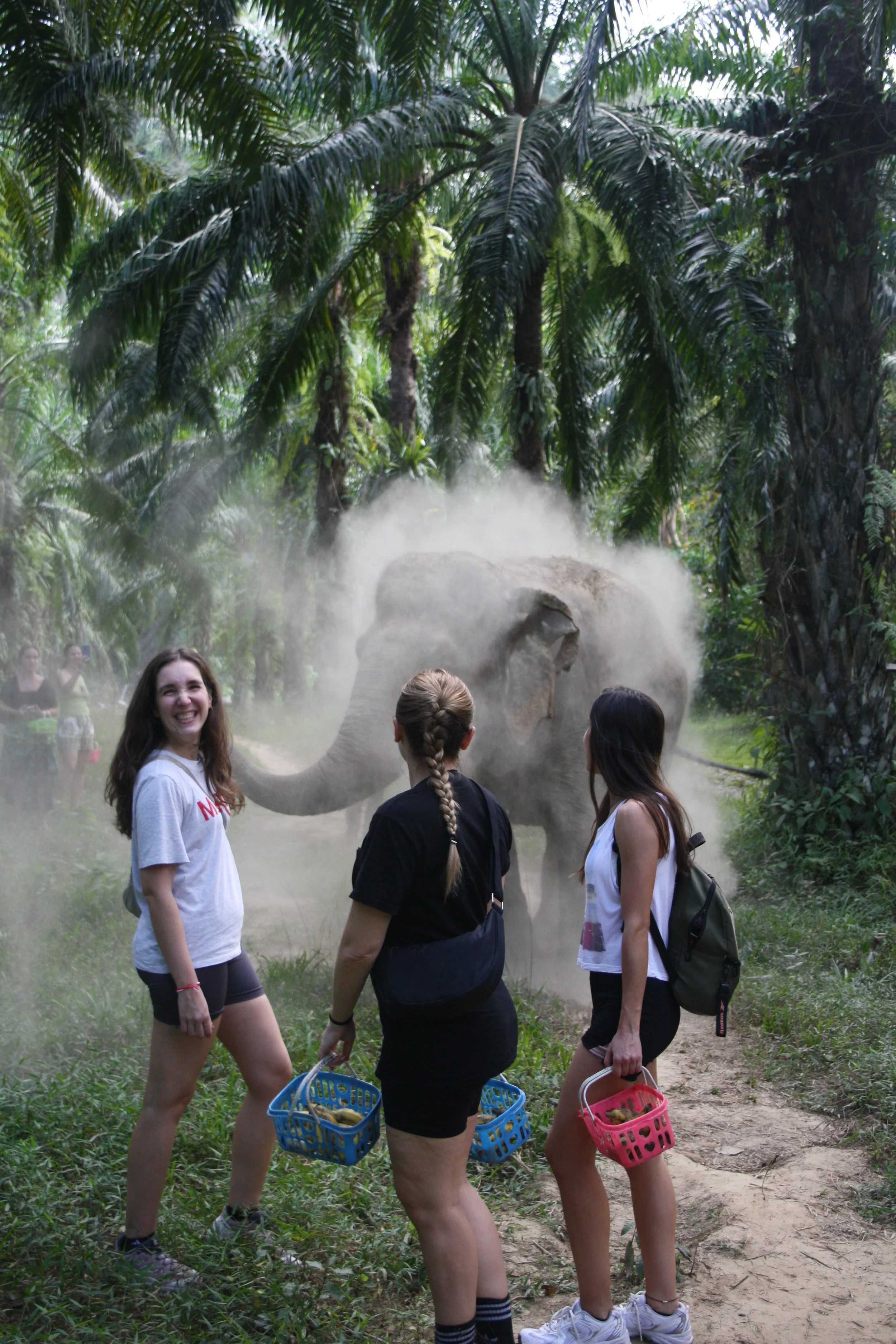 Grupo de personas en un safari en la jungla con un elefante en el fondo y vegetación densa.