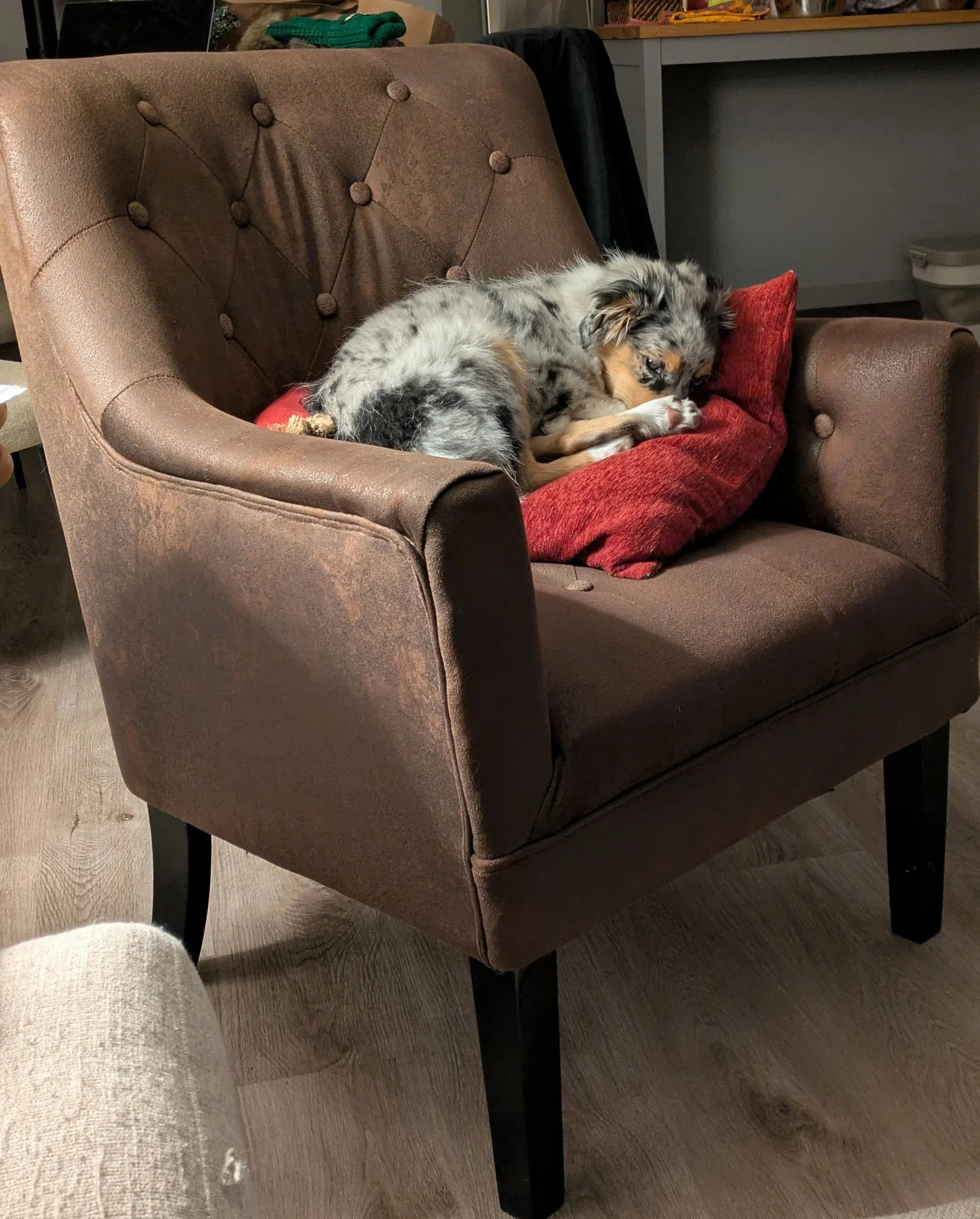 A brown, upholstered armchair with button tufting on the backrest and black wooden legs, positioned on a wooden floor.
