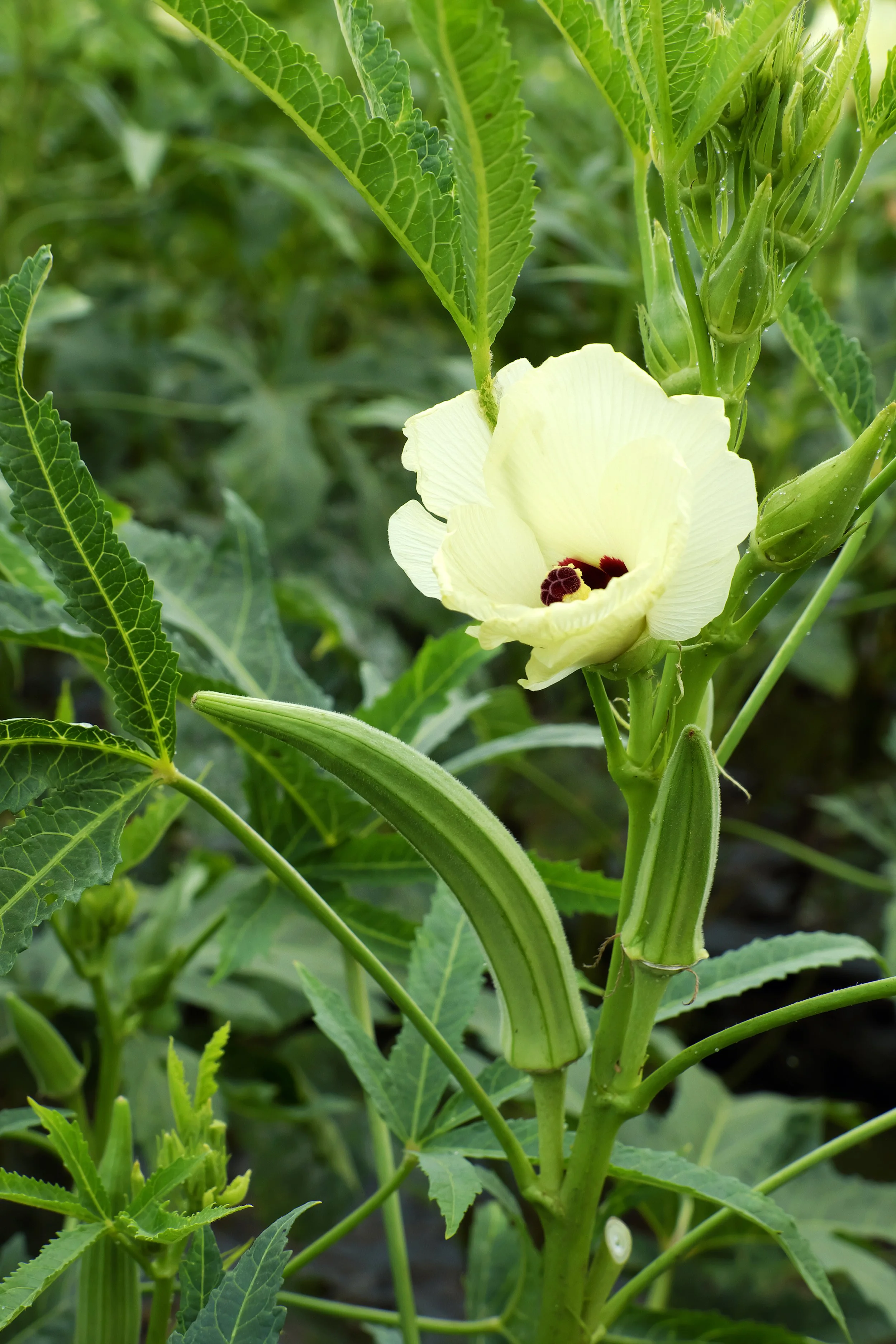 AdobeStock_175913717.jpeg