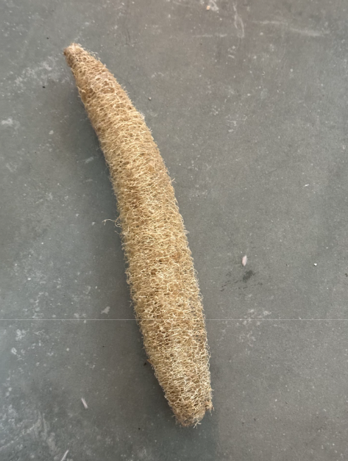 Whole Loofa