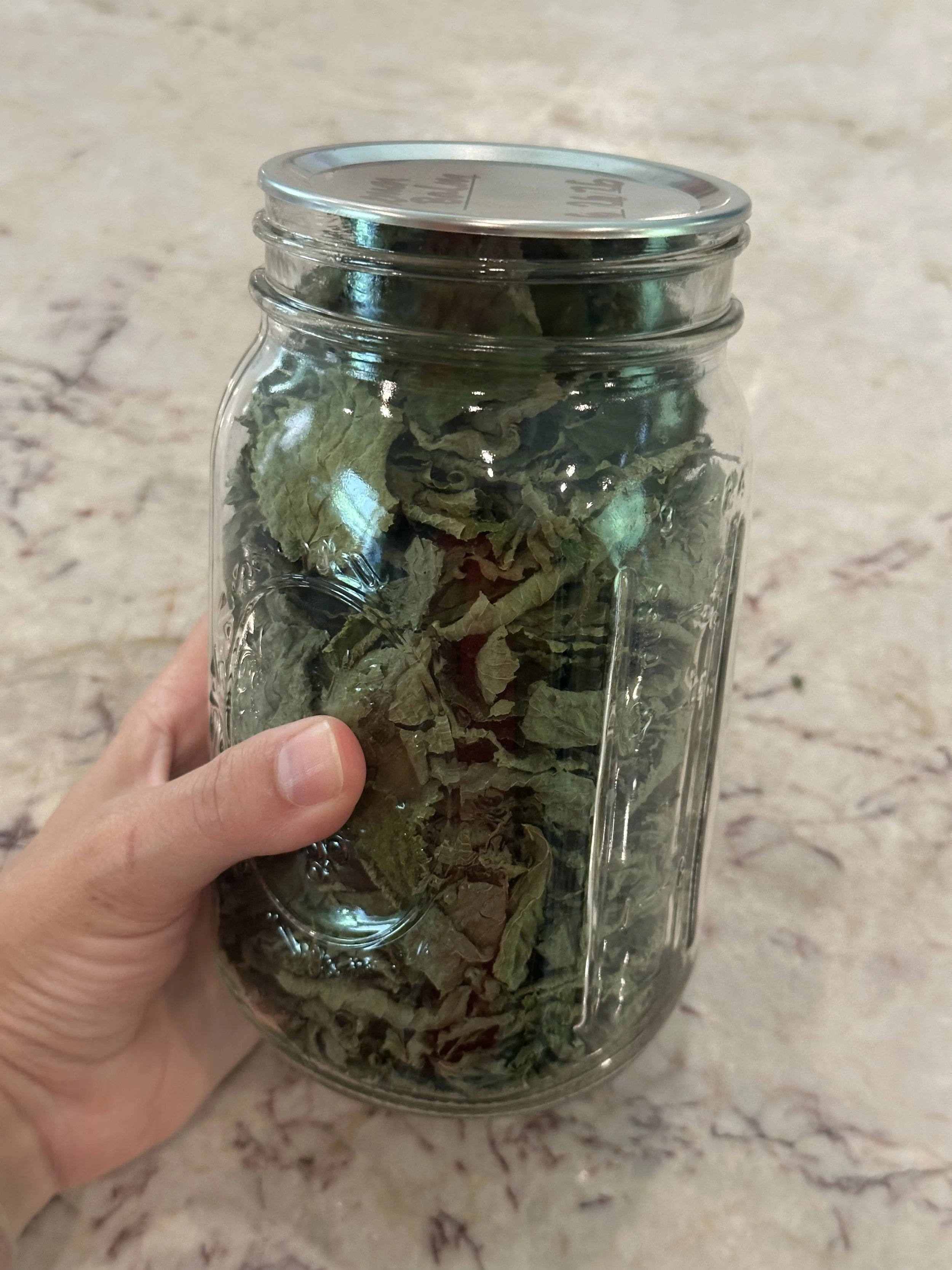 Lemon Balm Tea