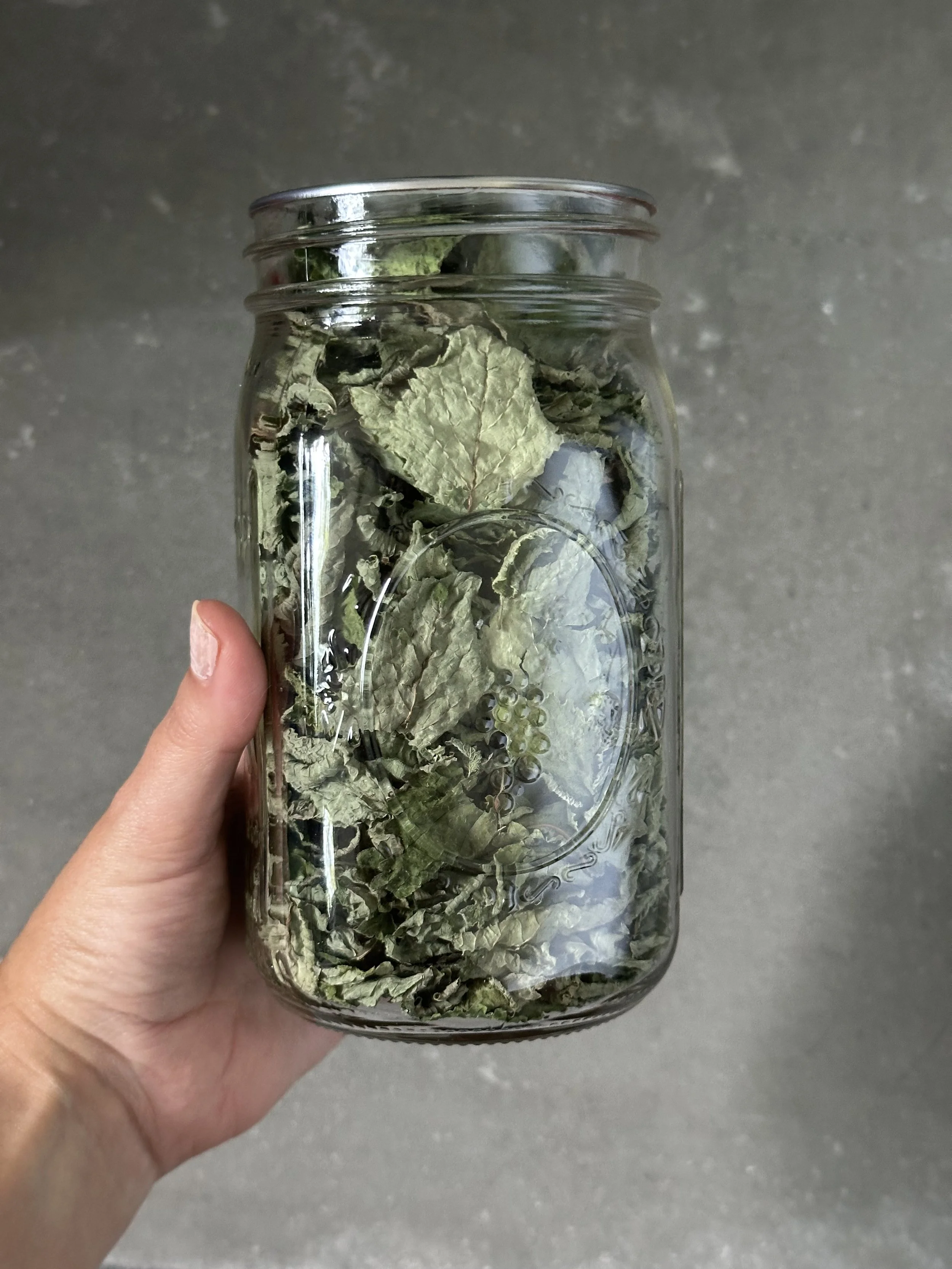 Mint Tea