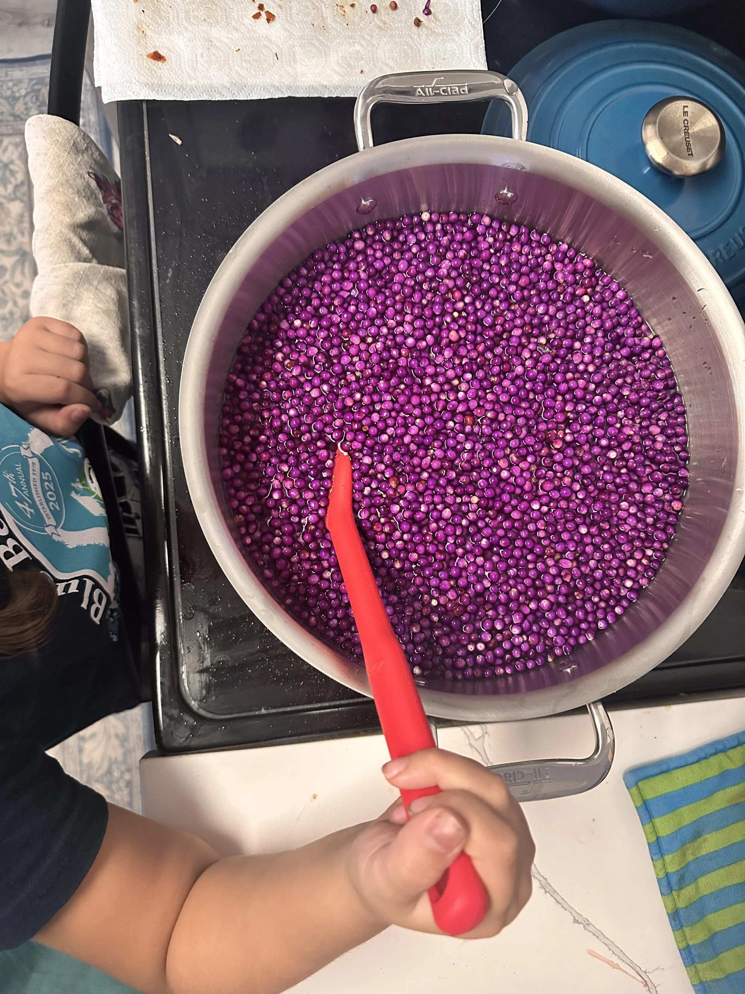 Organic Beauty Berry Jelly