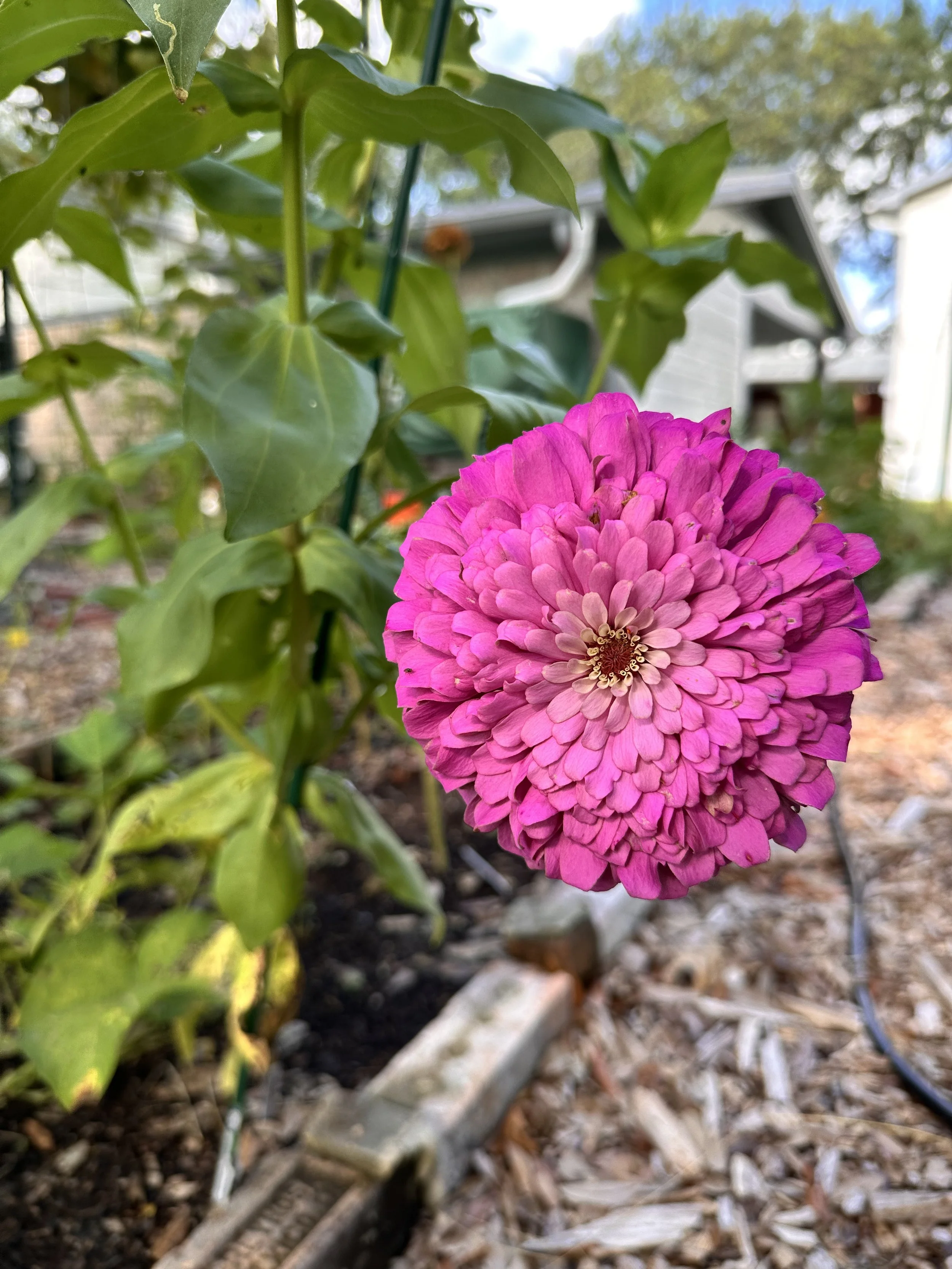 IMG_0072.jpeg