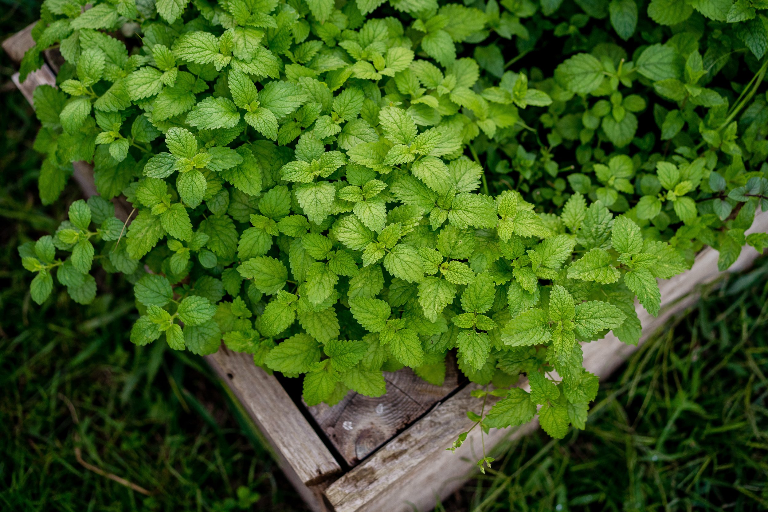 AdobeStock_491915172.jpeg