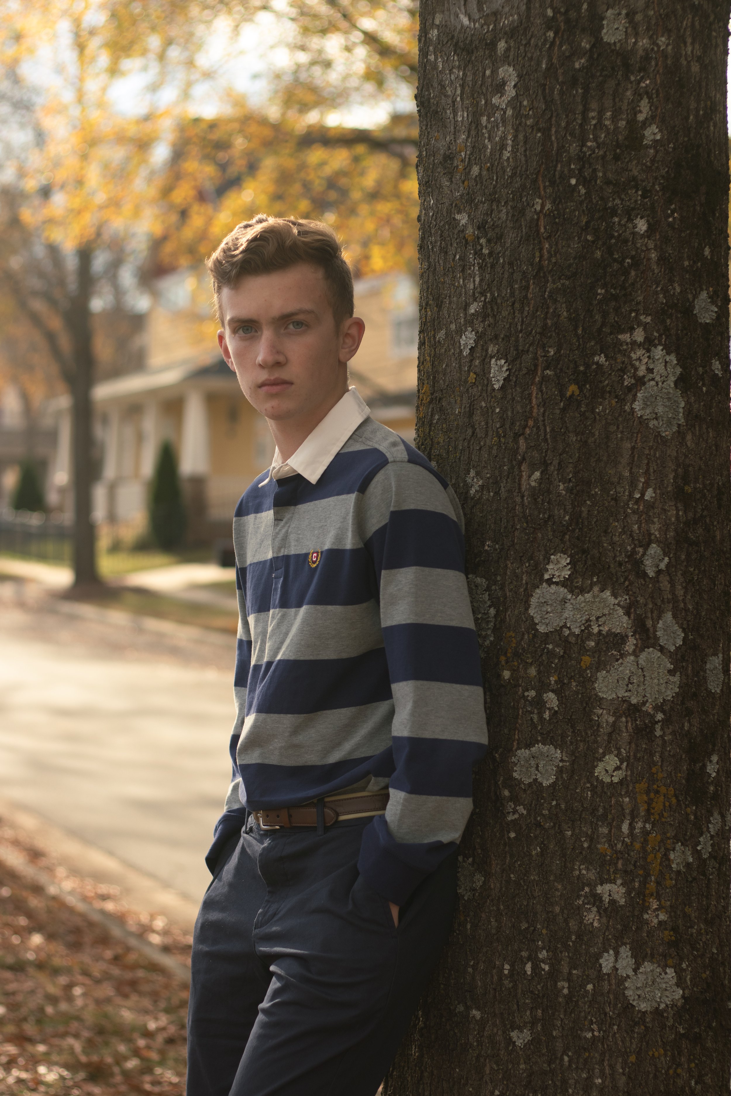A young man with light skin, wavy light brown hair, and blue eyes leaning against a tree in a residential neighborhood during fall. He is wearing a striped navy and gray sweater over a white collared shirt, with his hands in his pockets. The backgrou