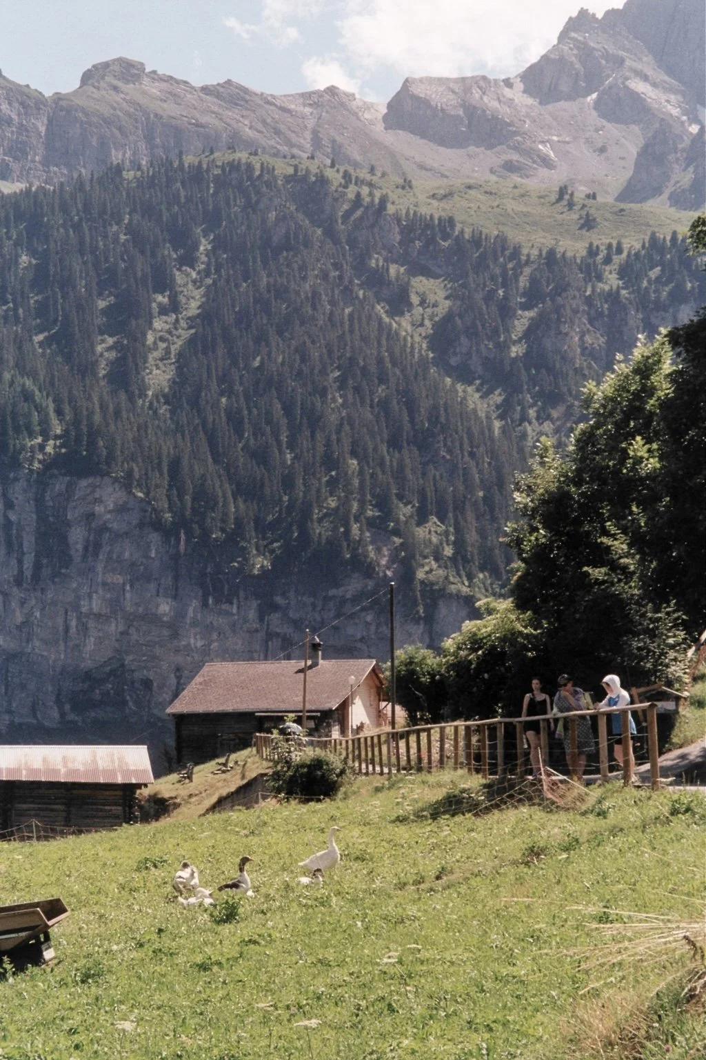 Mountain landscape with two wooden houses, trees, and a group of four people standing by a fence. In the foreground, three ducks are on a grassy area, and a mountain range with dense forest is visible in the background.