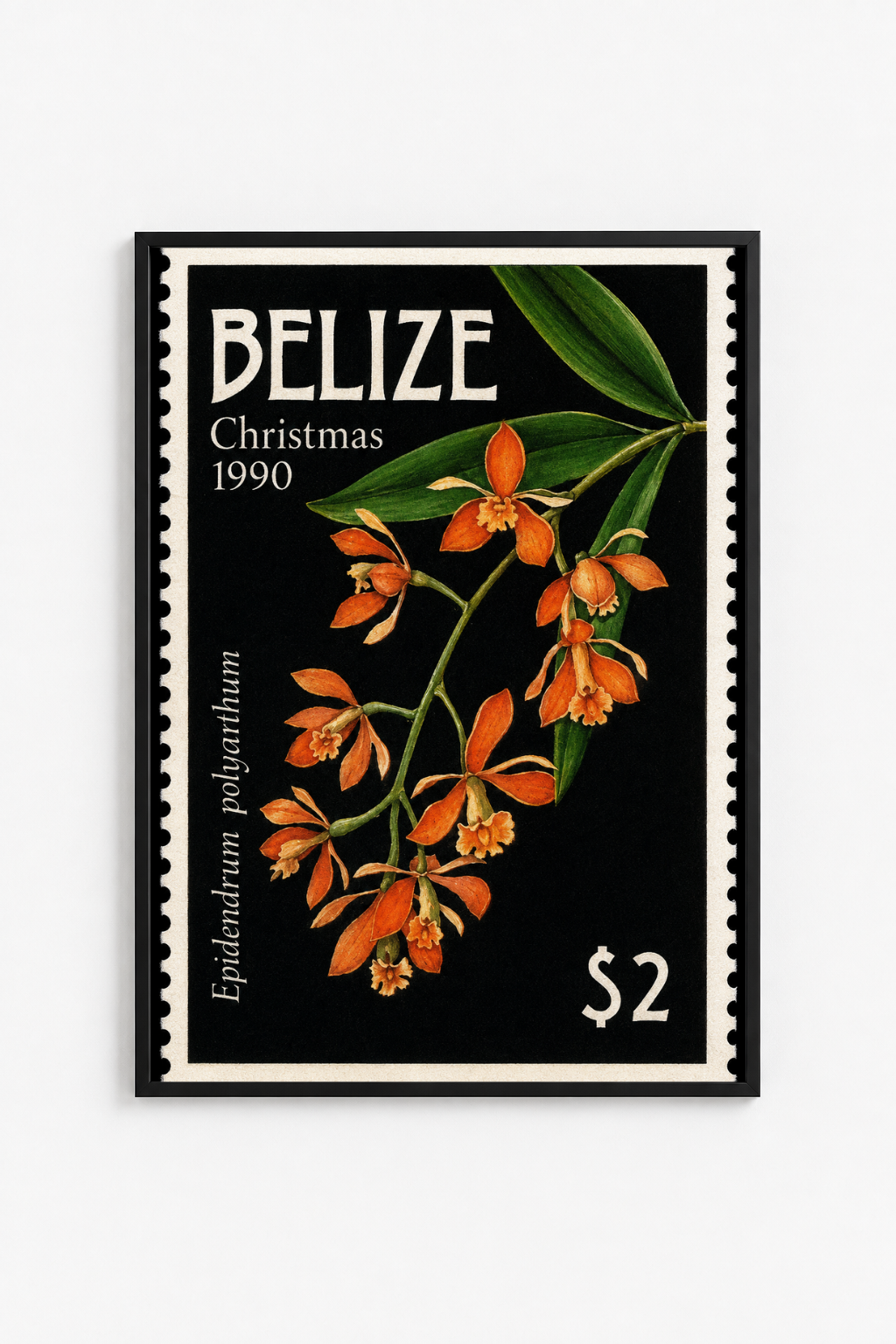 Belize in Bloom