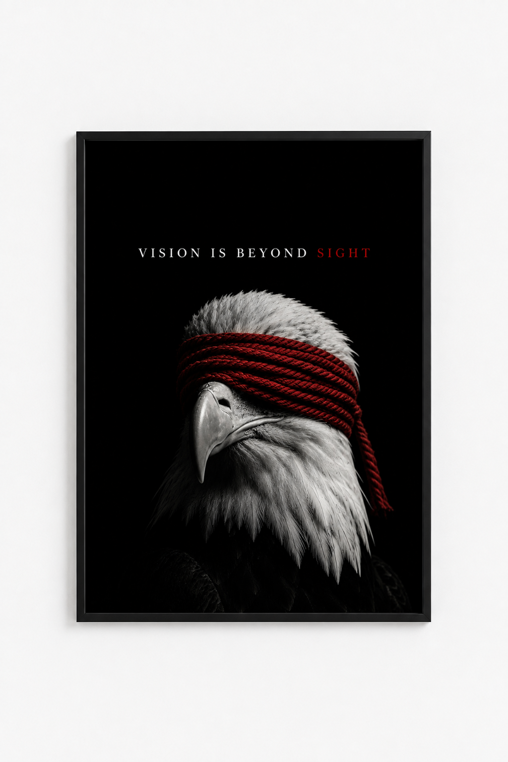 Vision.png