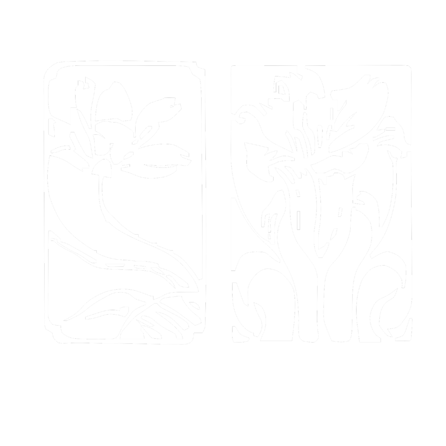 M &amp; S
