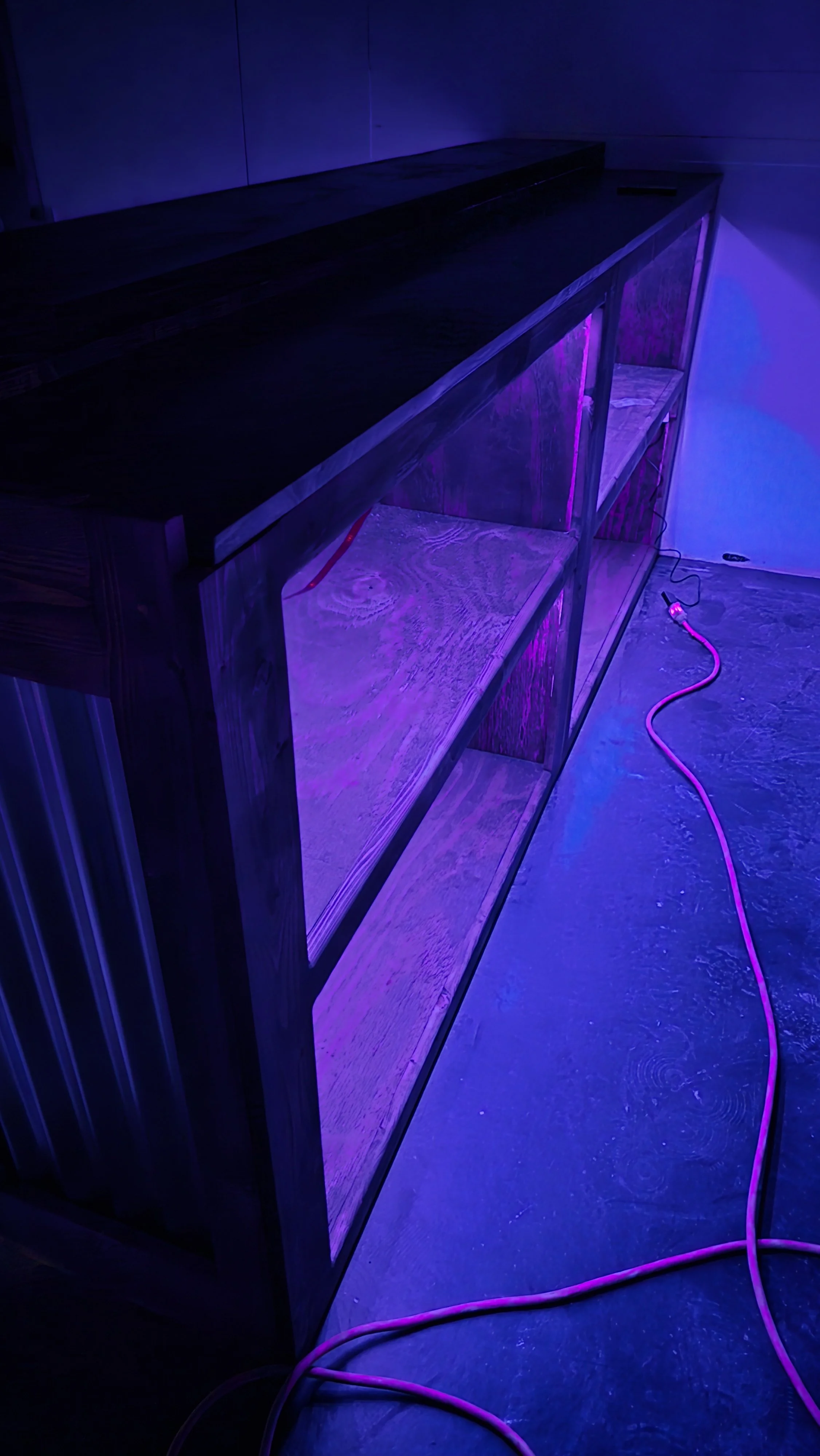 20260315_194851.jpg
