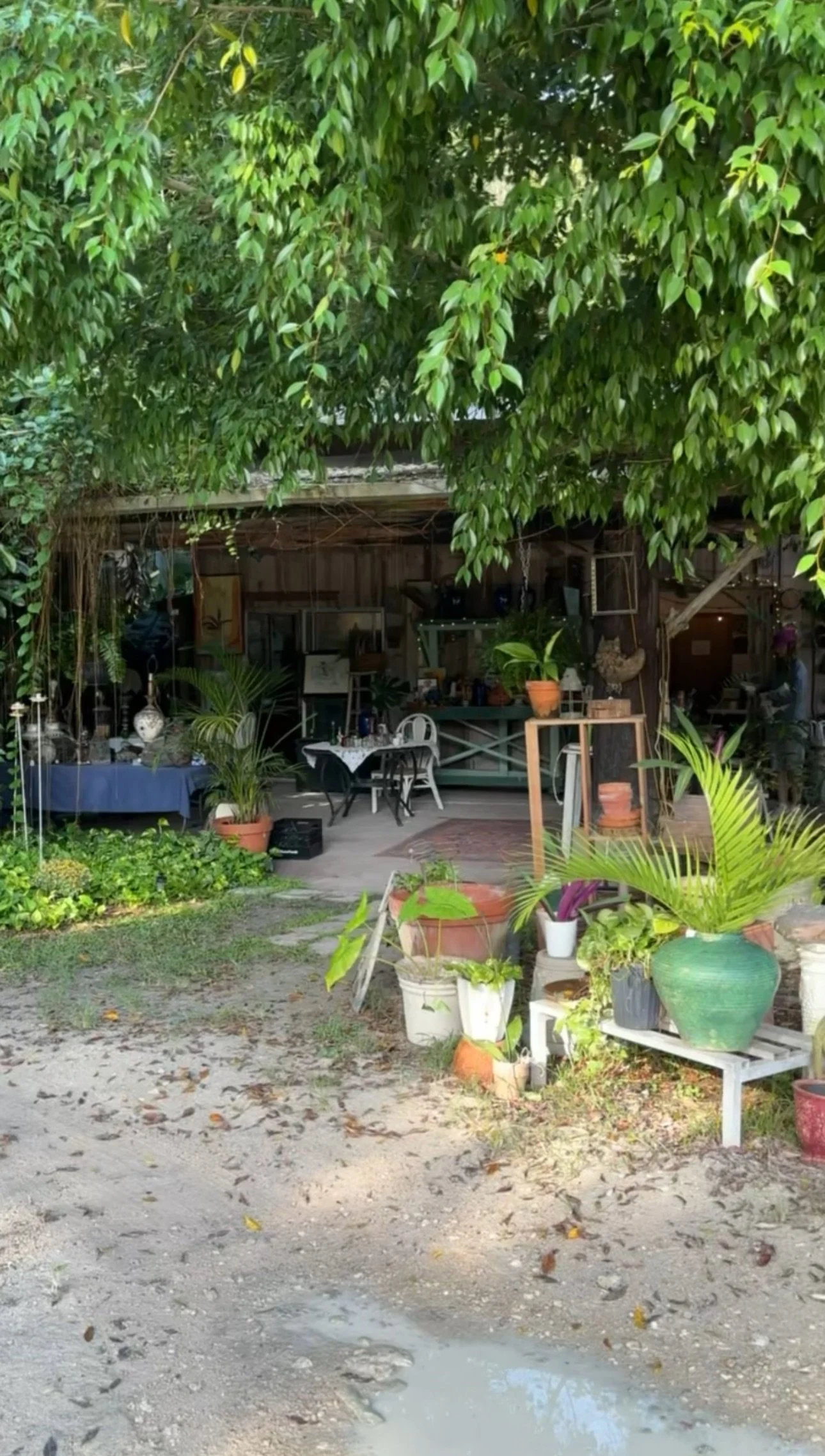 Waldo's Secret Garden 11/6