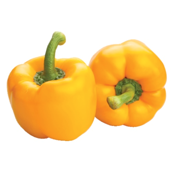 large_eaf2474d-d5cc-4cb1-ae51-eda0d5245fa3.png