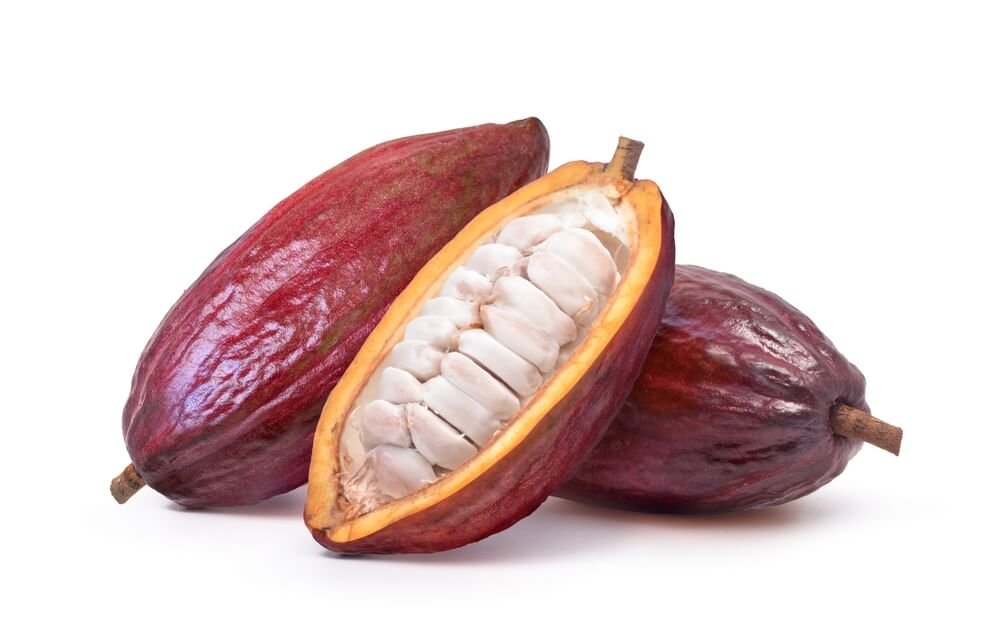 Cacao Trinitario.jpg