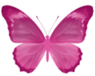 Pink butterfly with open wings.