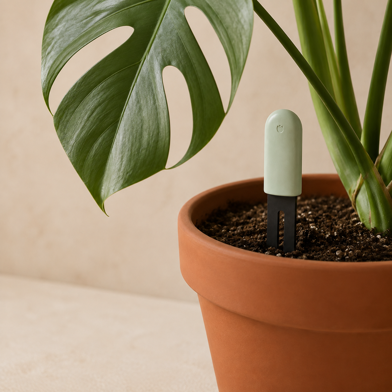 Dispositivo Inteligente para Plantas