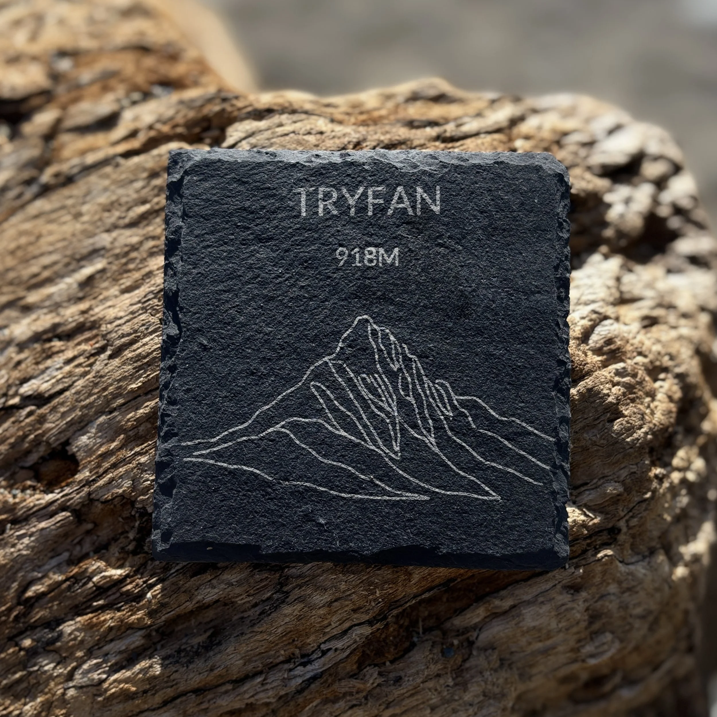 Tryfan Slate Coaster
