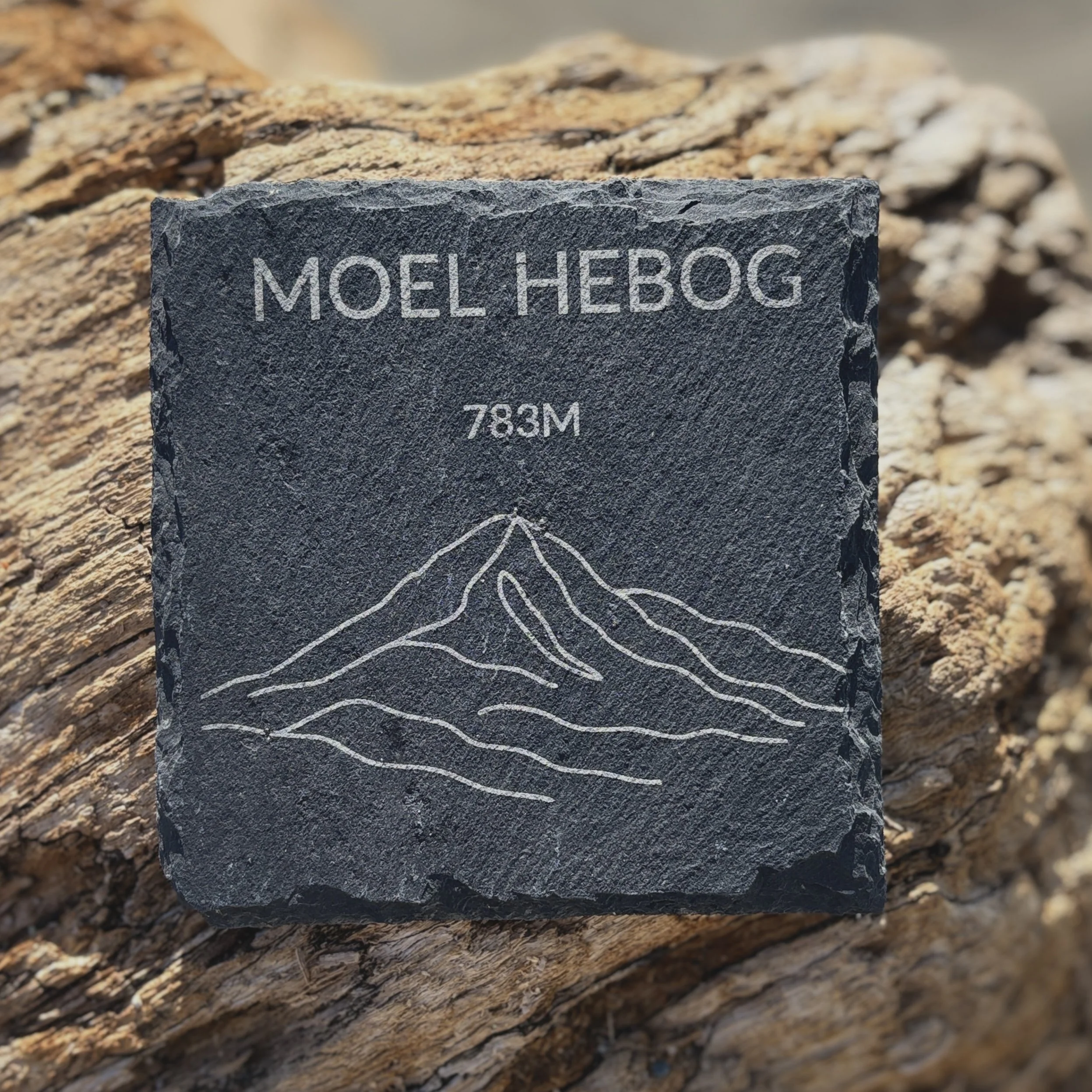 Moel Hebog