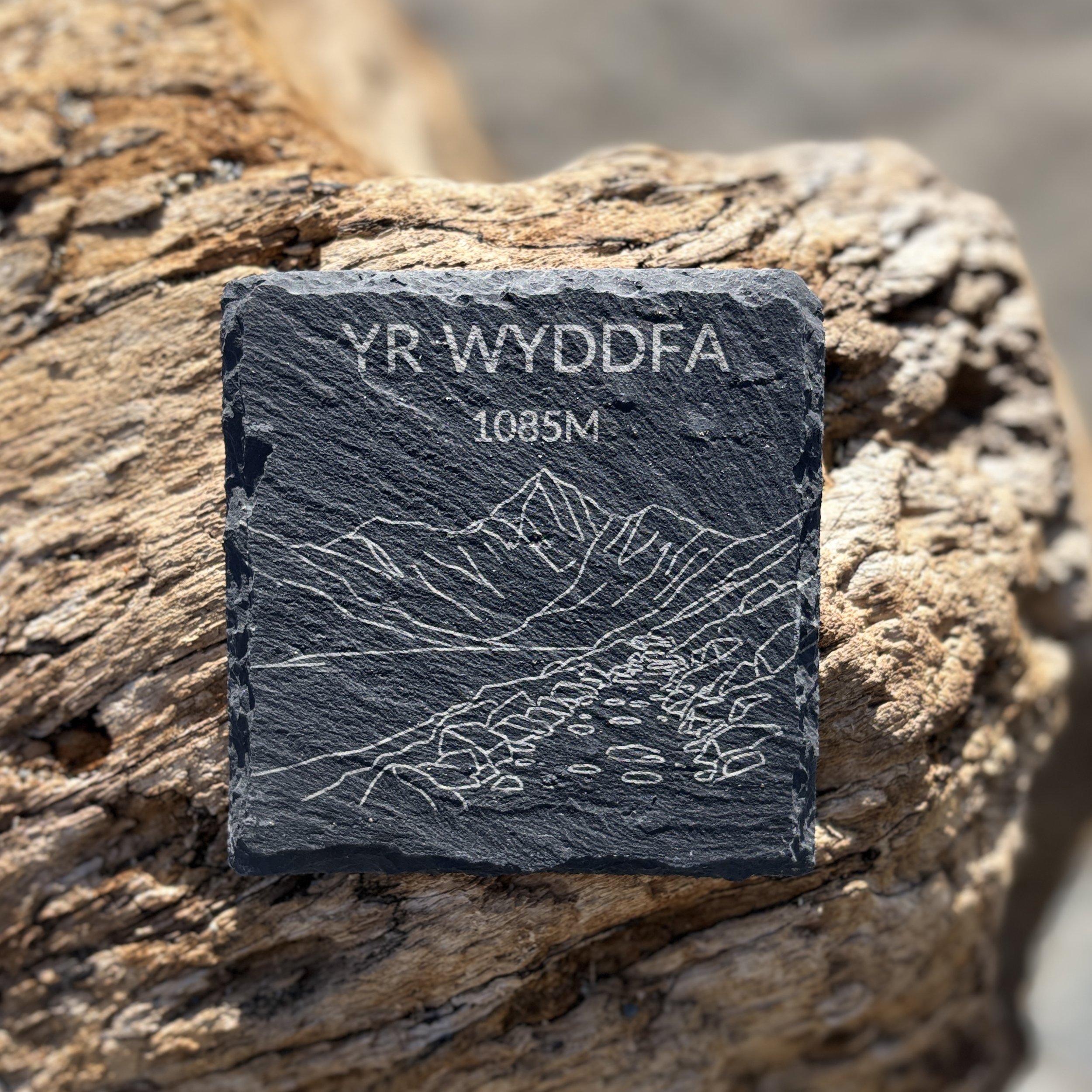 Yr Wyddfa Coaster