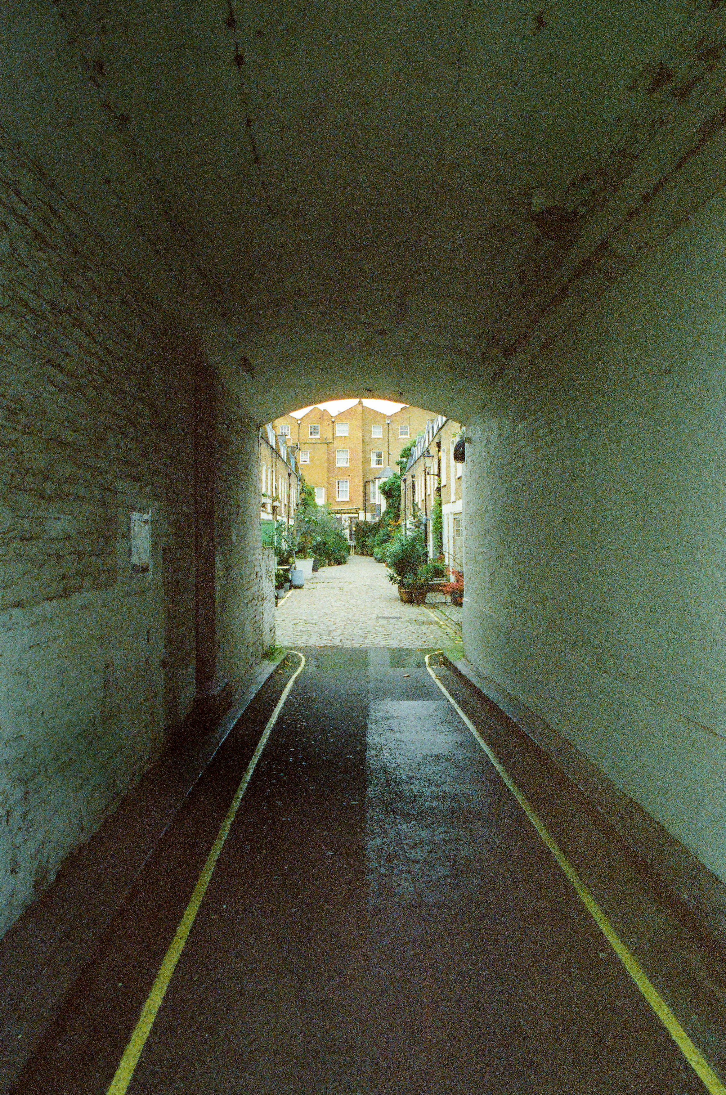21660031.png