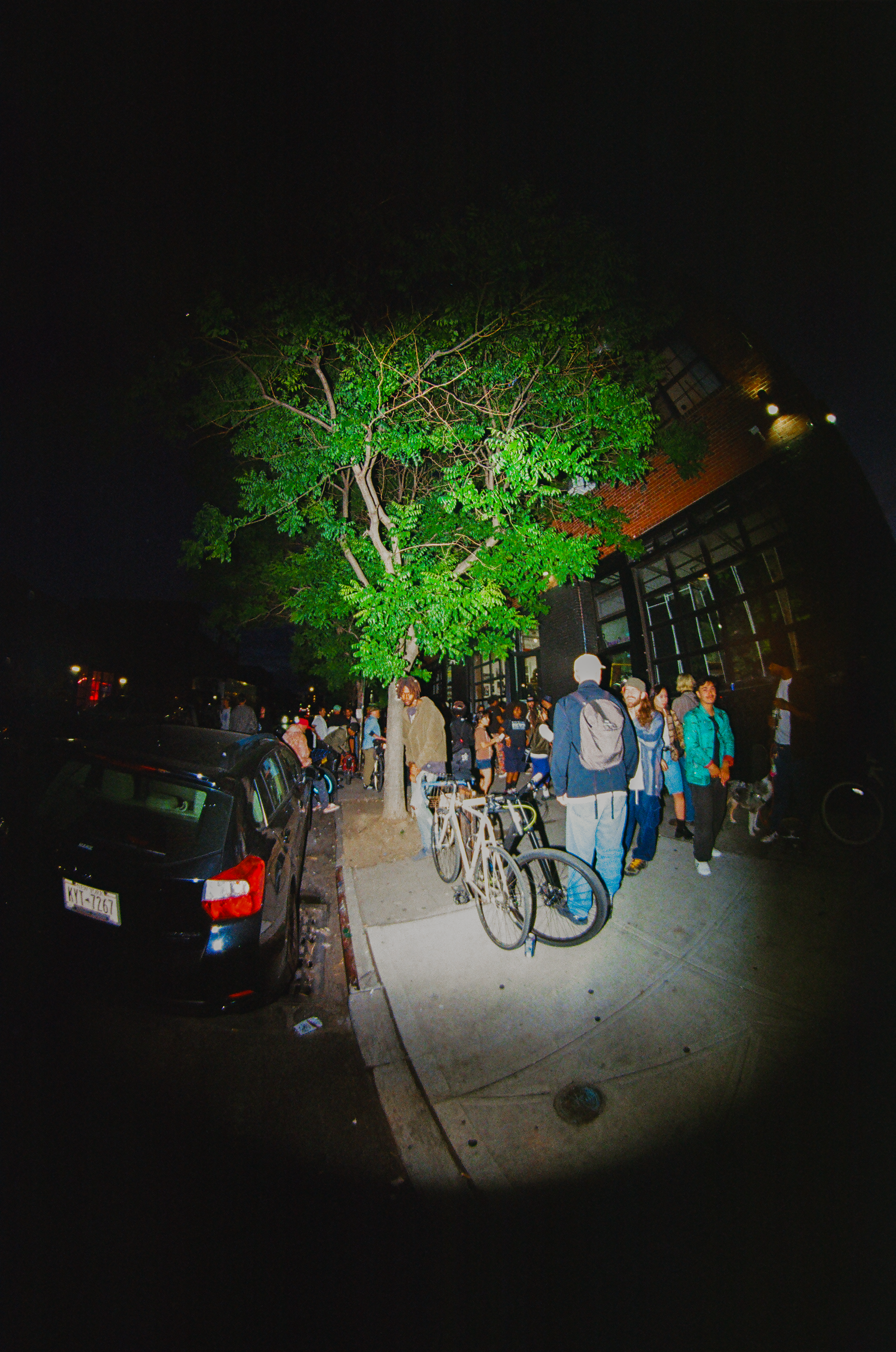 14060031.png