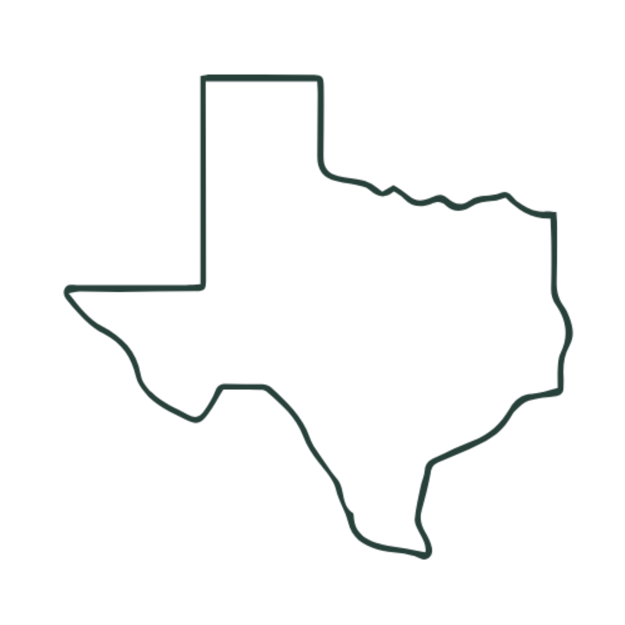 Dark green outline of the state of Texas