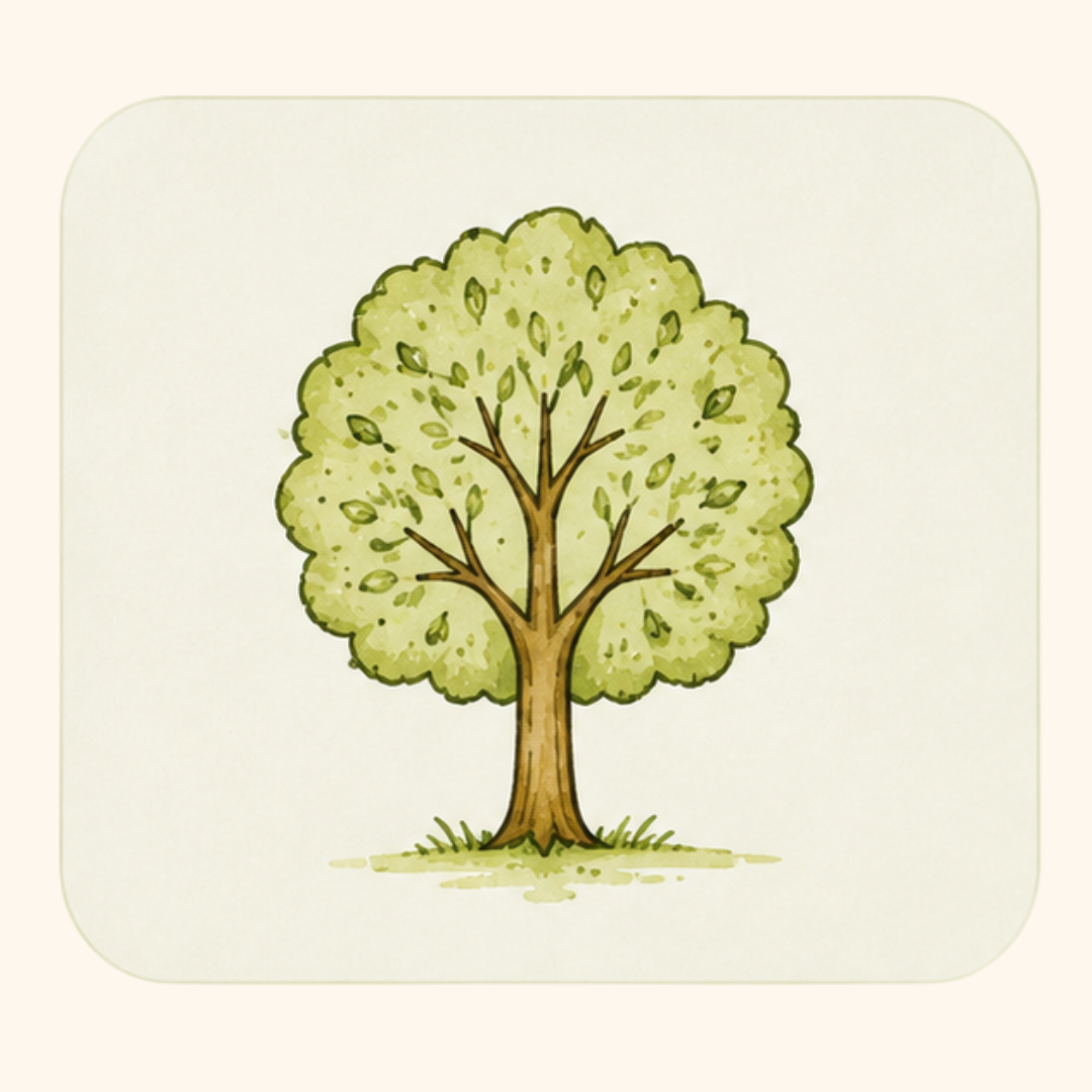 Illustration of a leafy tree with a brown trunk and green leaves.