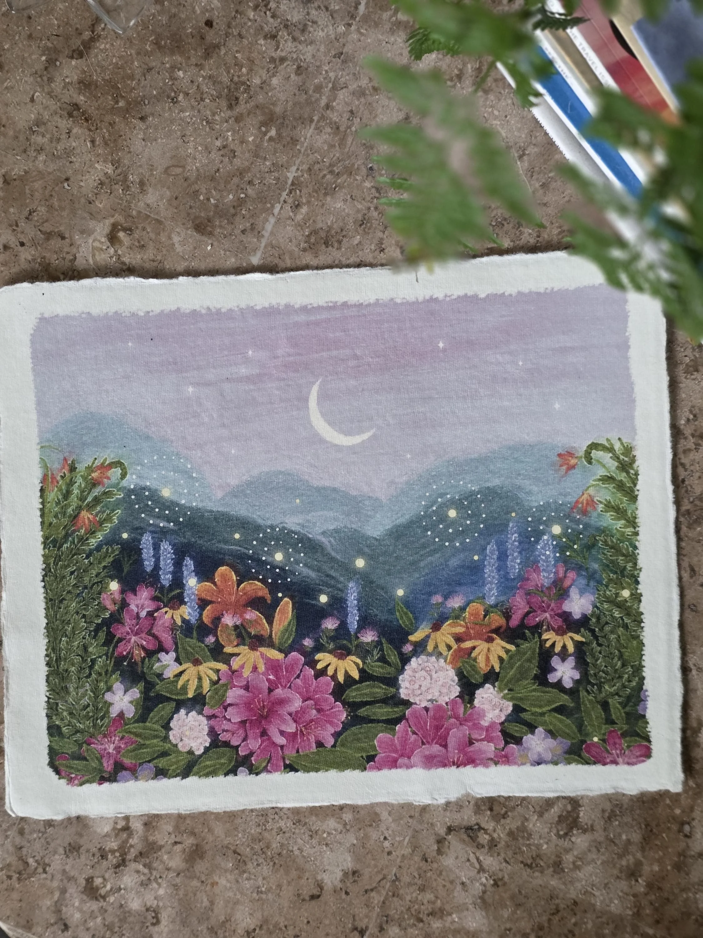 Blue Ridge Wildflowers | 8