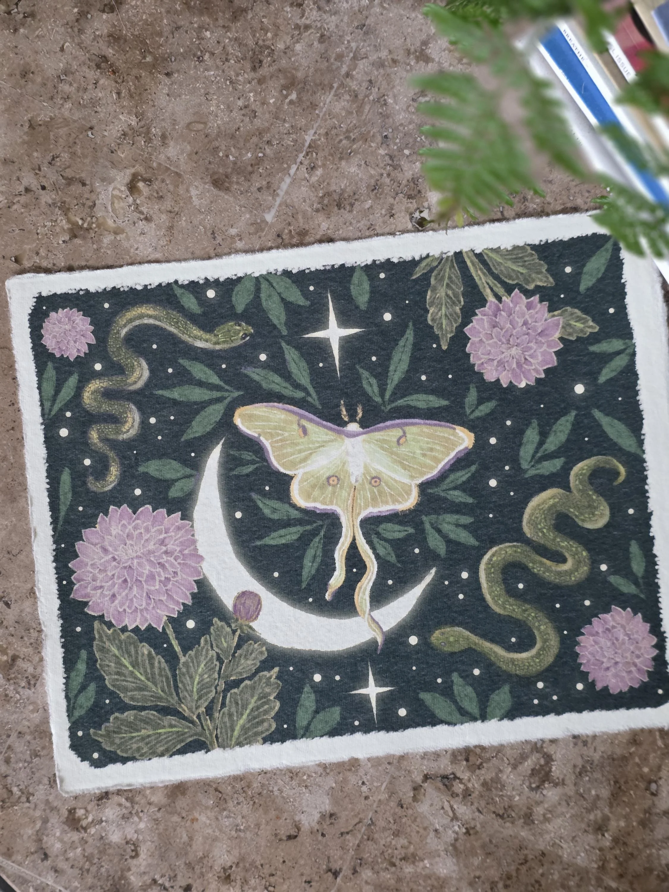 Luna Moth, Moon, Dahlias, and Green Snake | 8