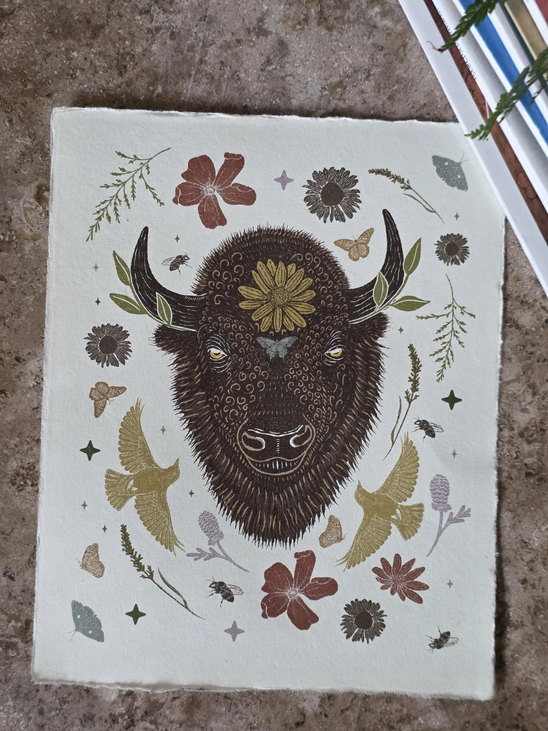 Bison | 8