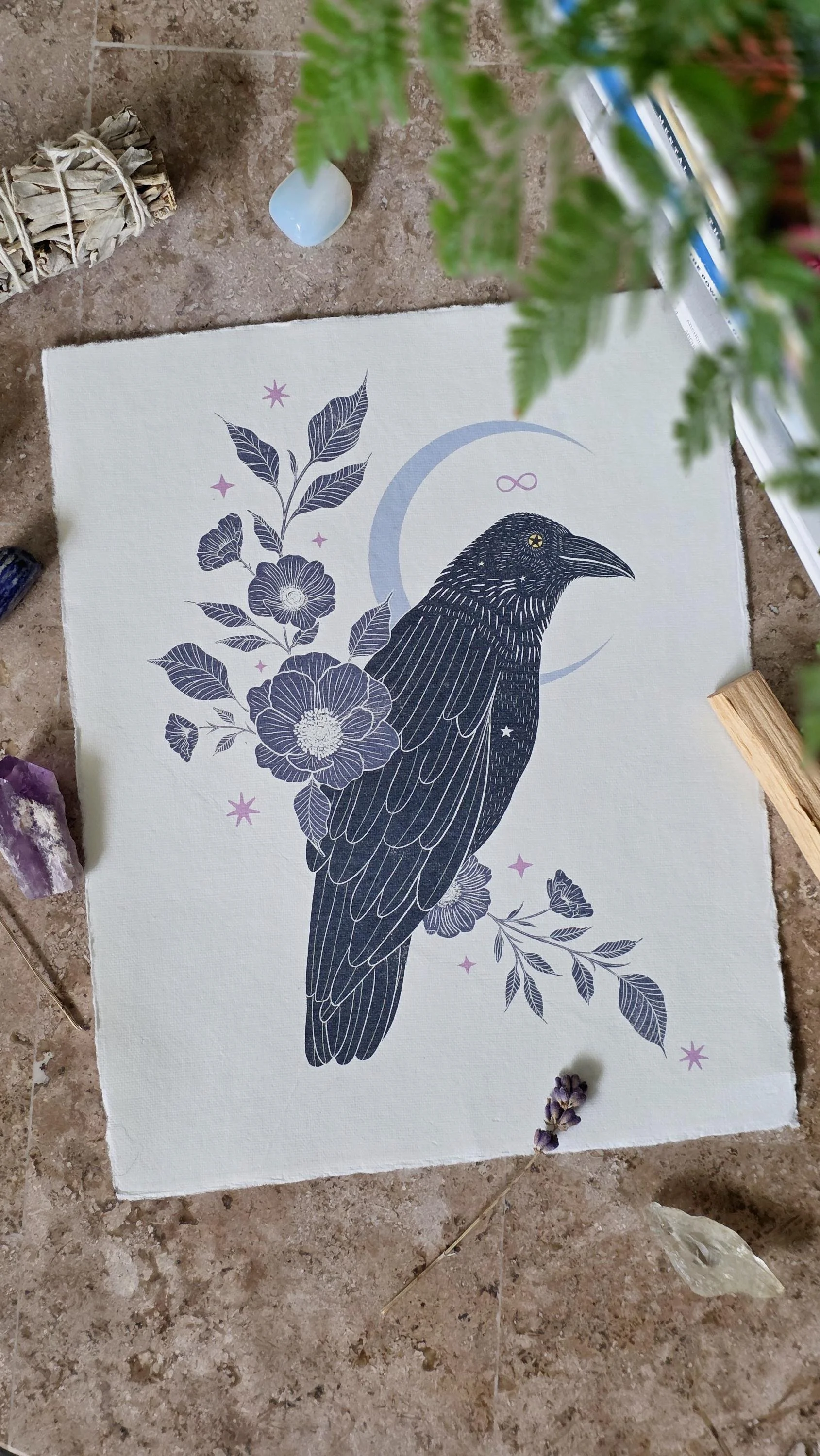 Raven and Anemone | 8