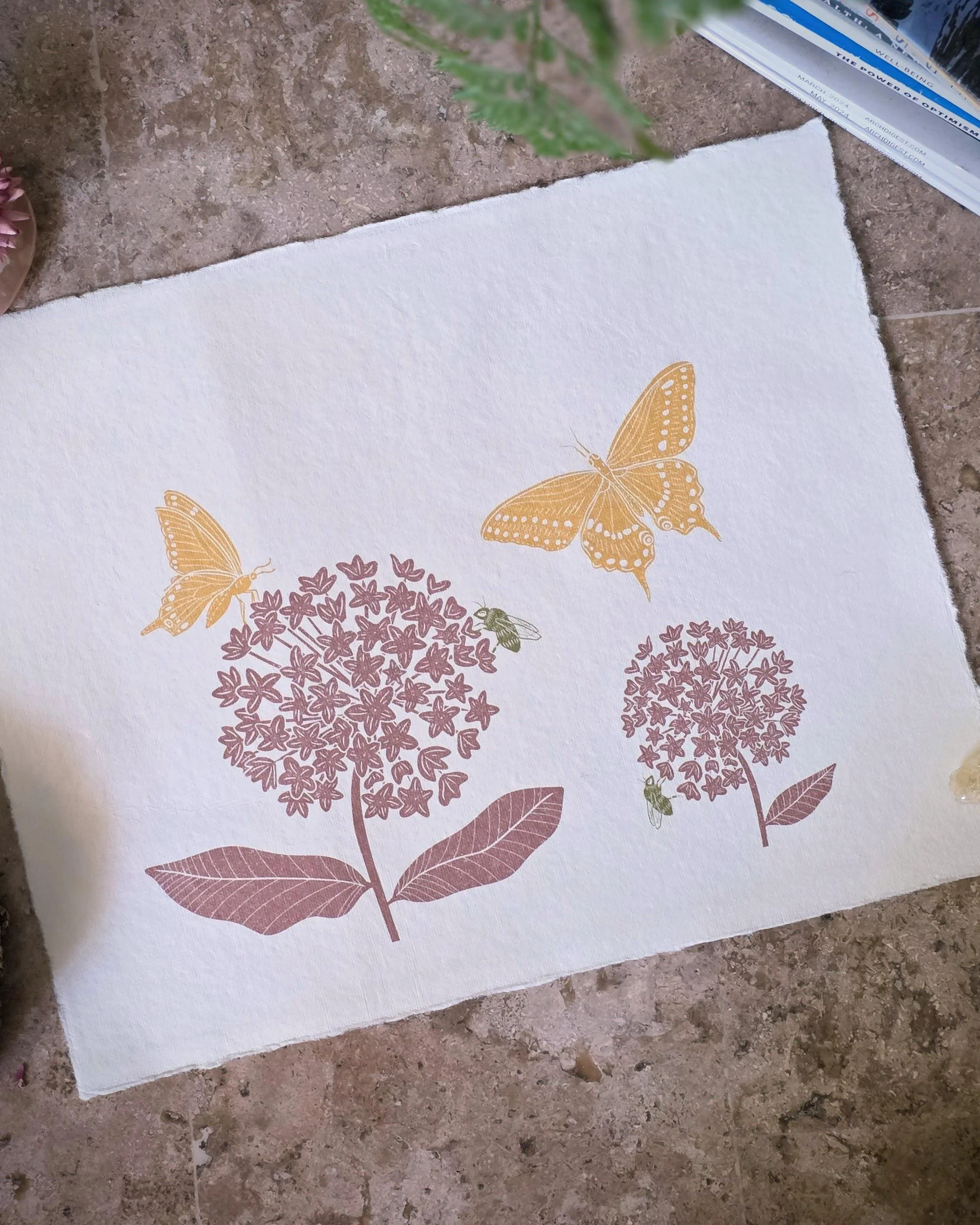 Milkweed and Swallowtail Butterflies | 8