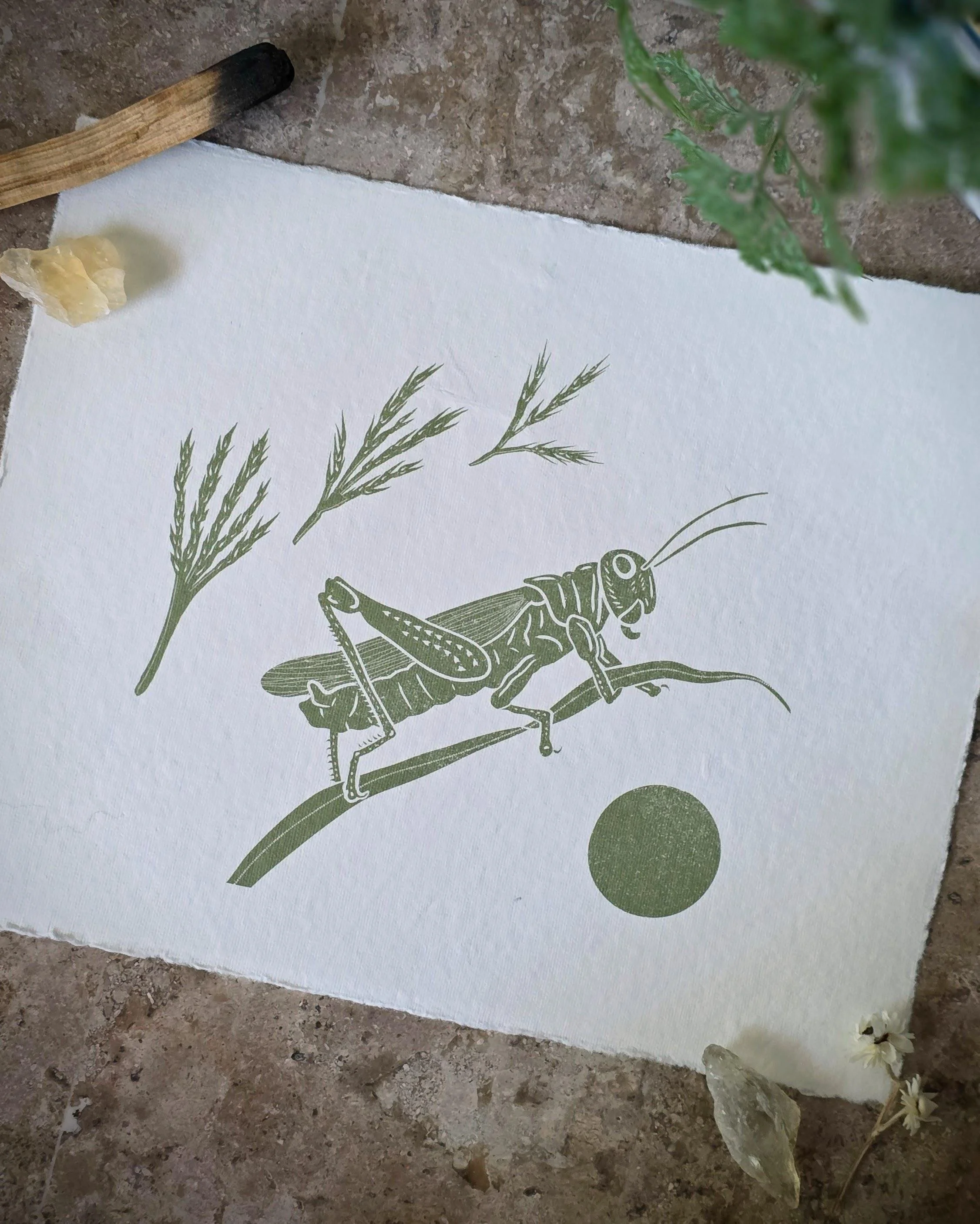 Grasshopper and Bluestem | 8