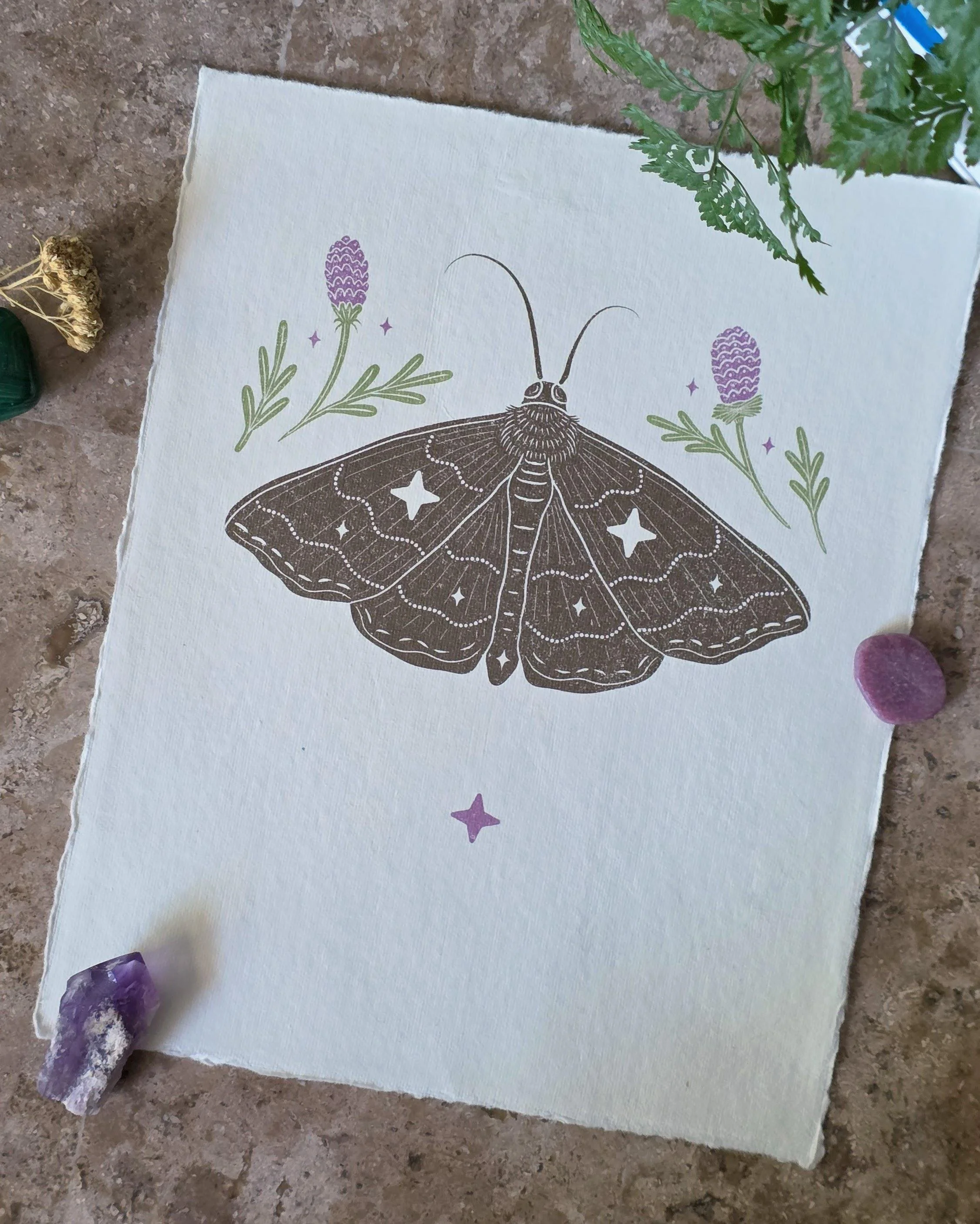 Owlet Moth and Prairie Clovers | 8