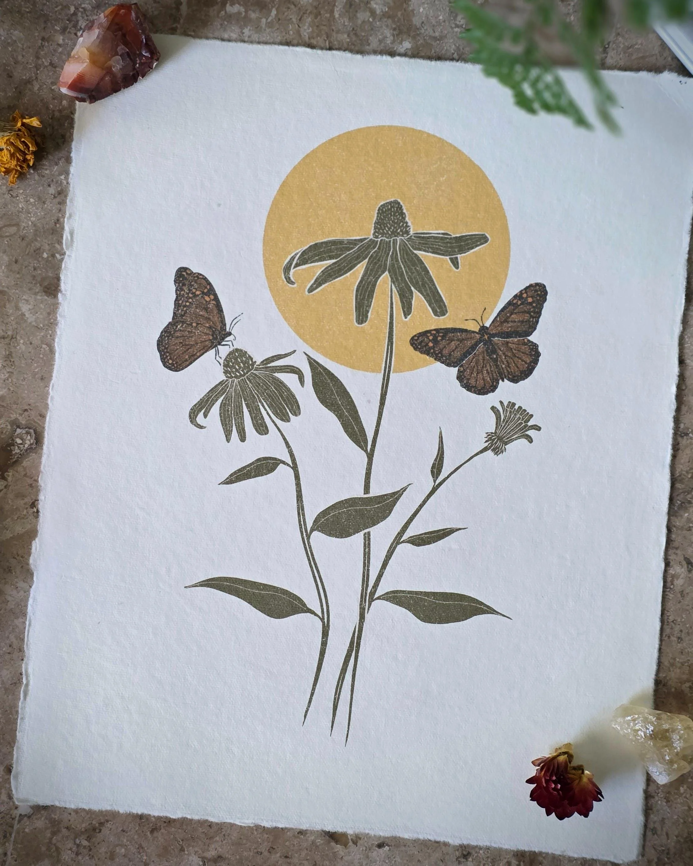 Prairie Coneflower and Monarchs | 8